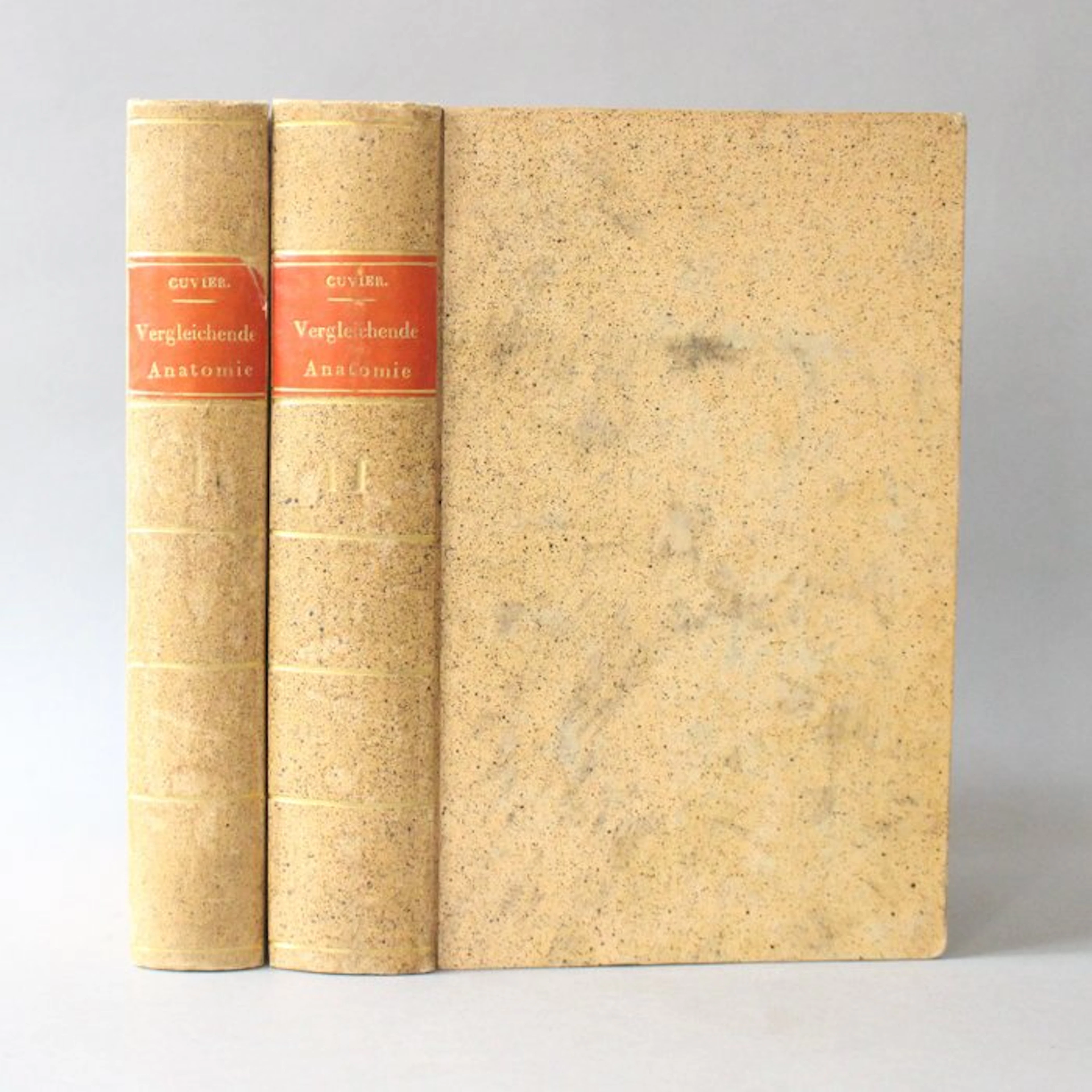Georges Cuvier - Vorlesungen über vergleichende Anatomie - 1801-1802