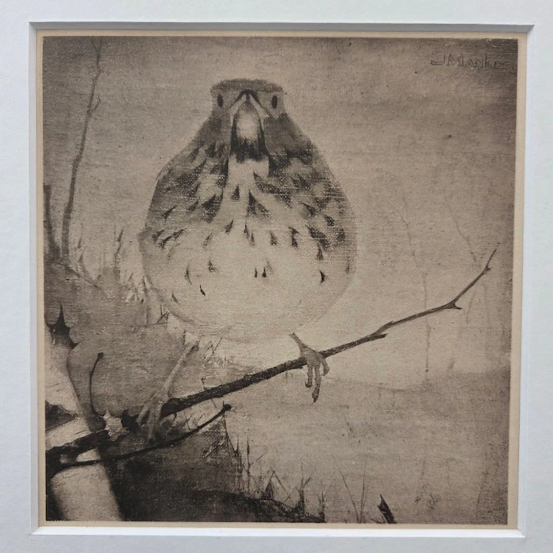 Jan Mankes (1889-1920) - Vogel op tak