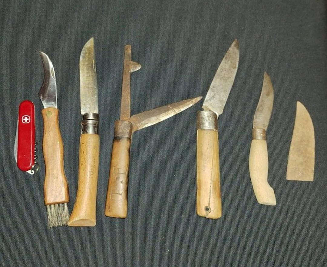Themed collection - Collection of pocket knives - Opinel,Victorinox