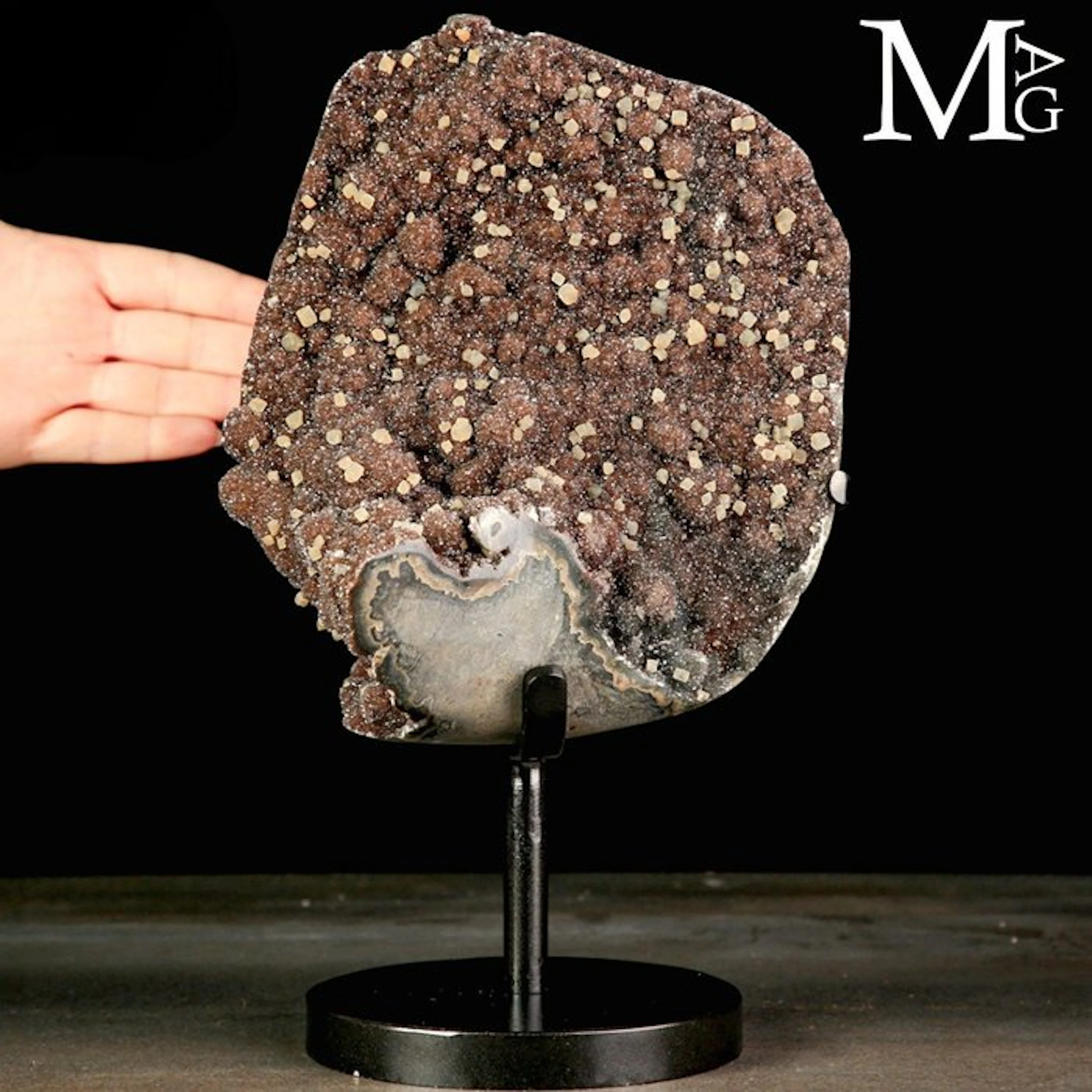 Exceptional 'Chocolate' Amethyst Druze with Lustrous...