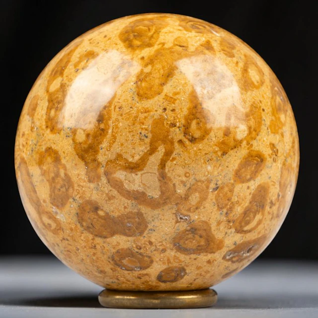 Fossil Sphere in Madreporic Coral - Height: 71 mm - Width: 71 mm- 506 g - (1)