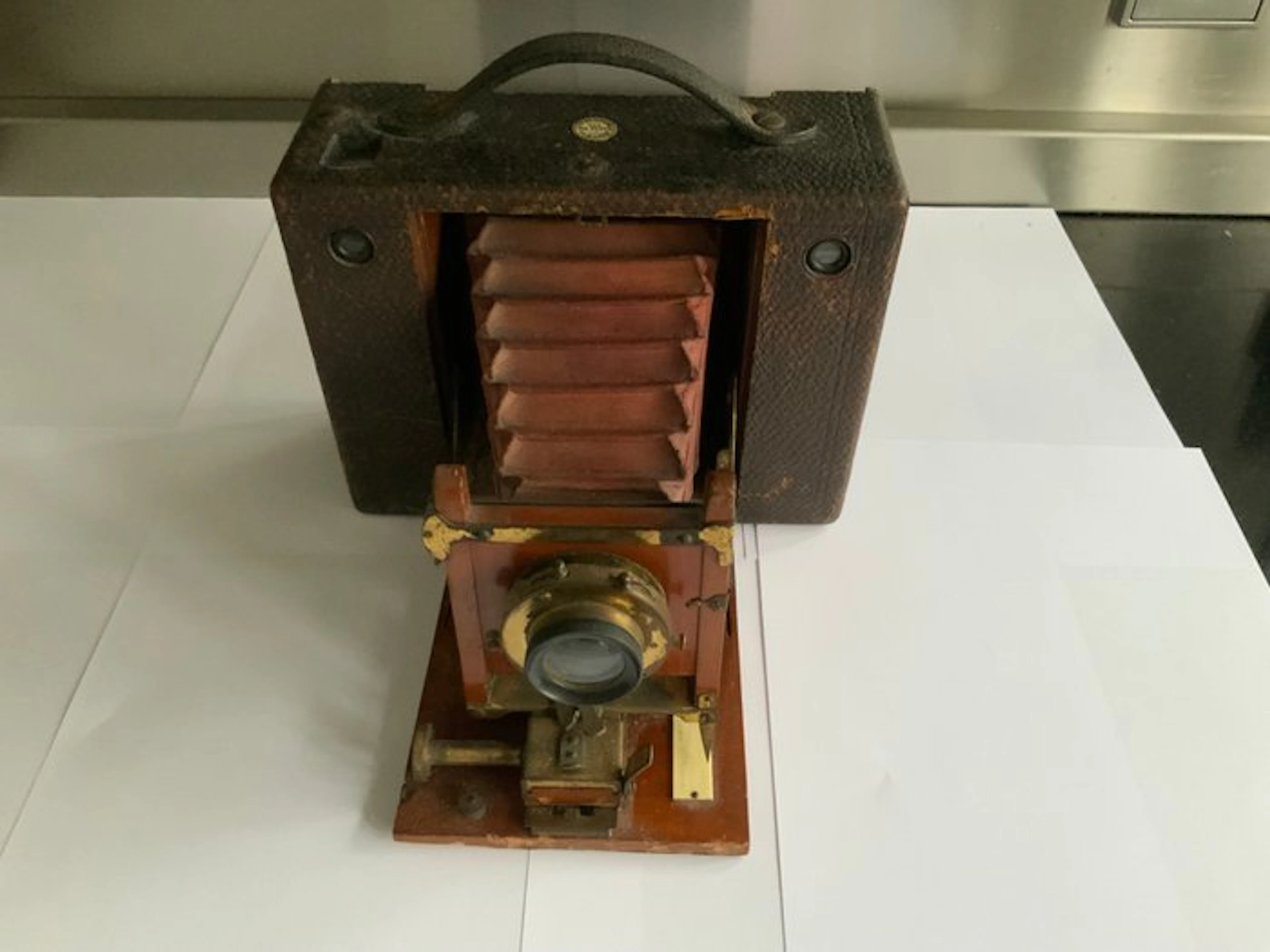 Kodak Analoog, hout Analogue camera