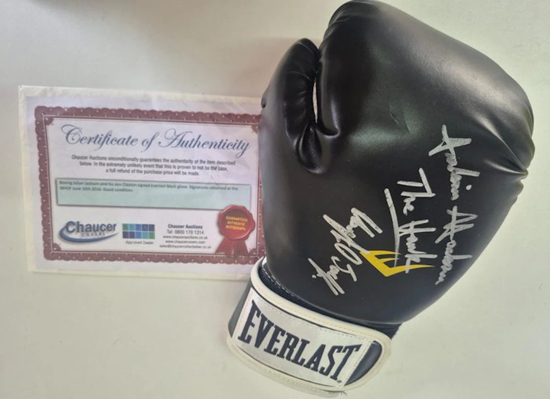 Guantone Boxe Everlast 14oz Autografato JULIAN "THE HAWK"...