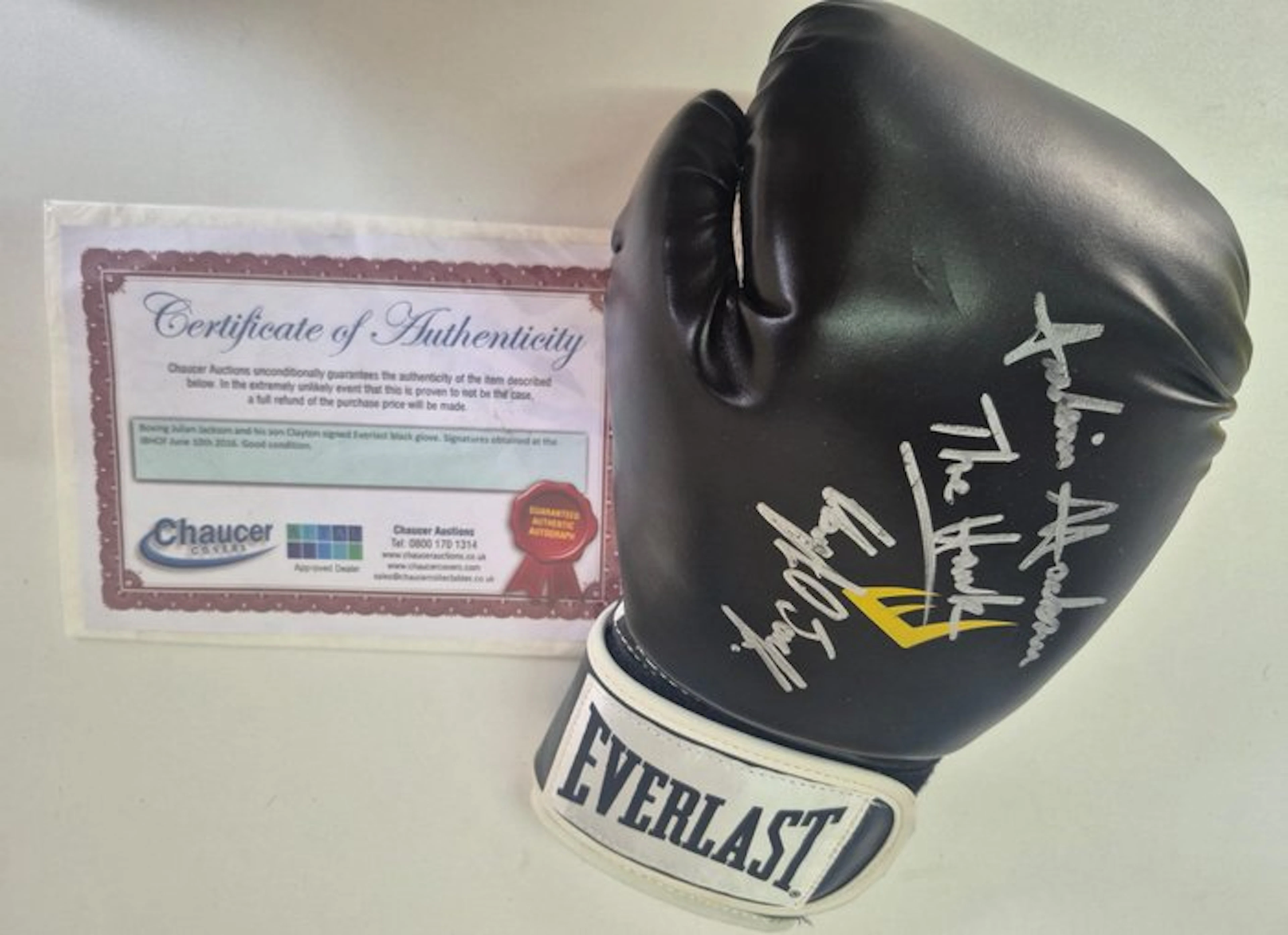 Guantone Boxe Everlast 14oz Autografato JULIAN "THE HAWK"...