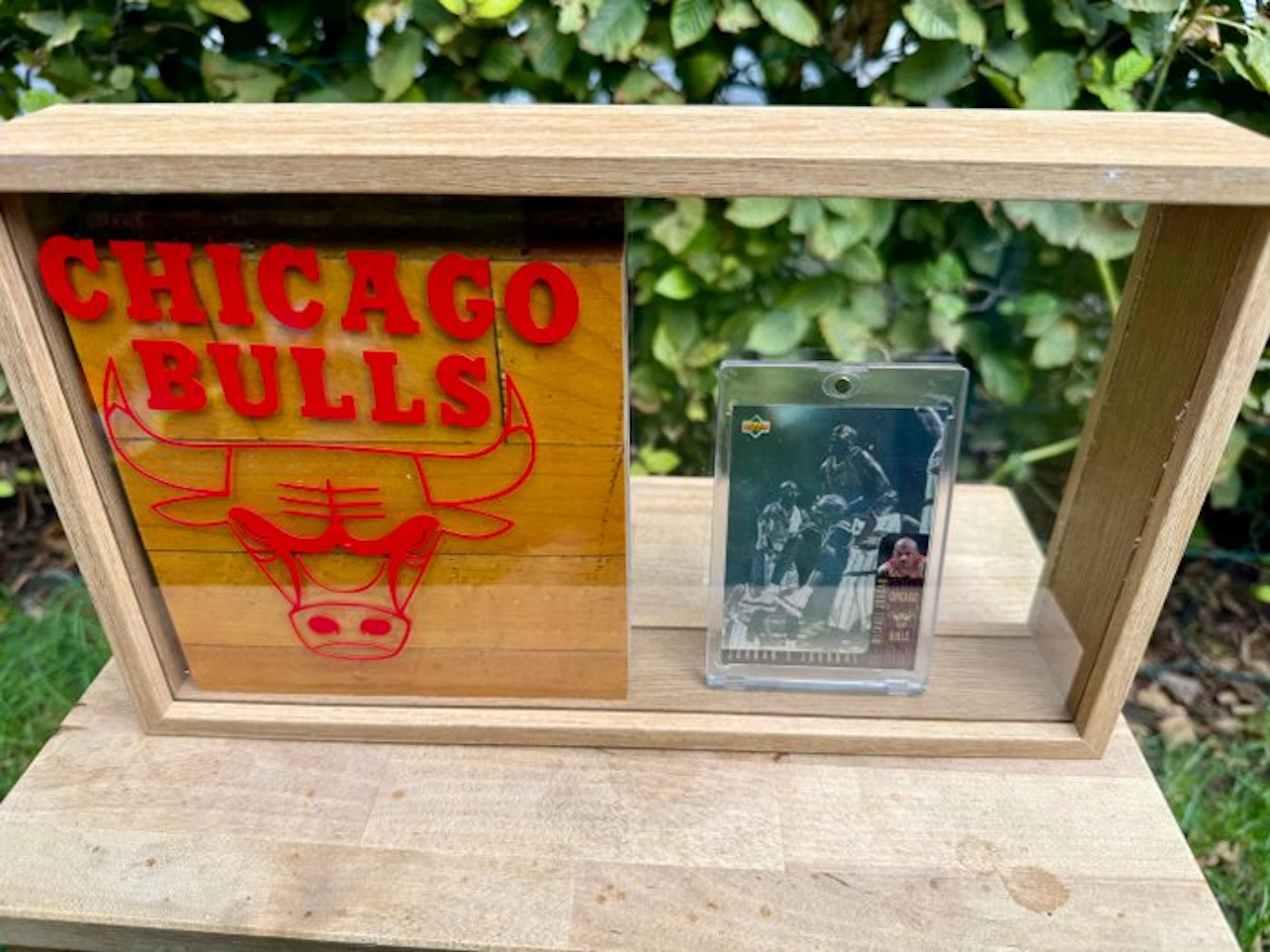 Chicago Bulls