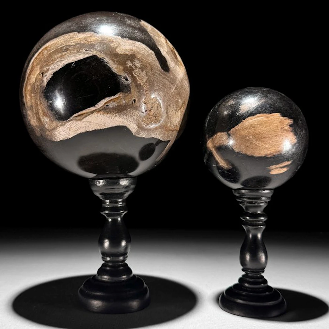 Stunning pair of Petrified Wood spheres - Fossilised wood (No reserve price)