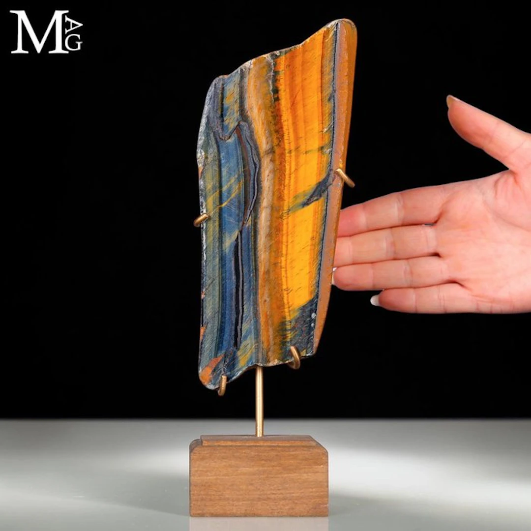 Vibrant Australian Tiger Eye & Hawk's Eye Slice...