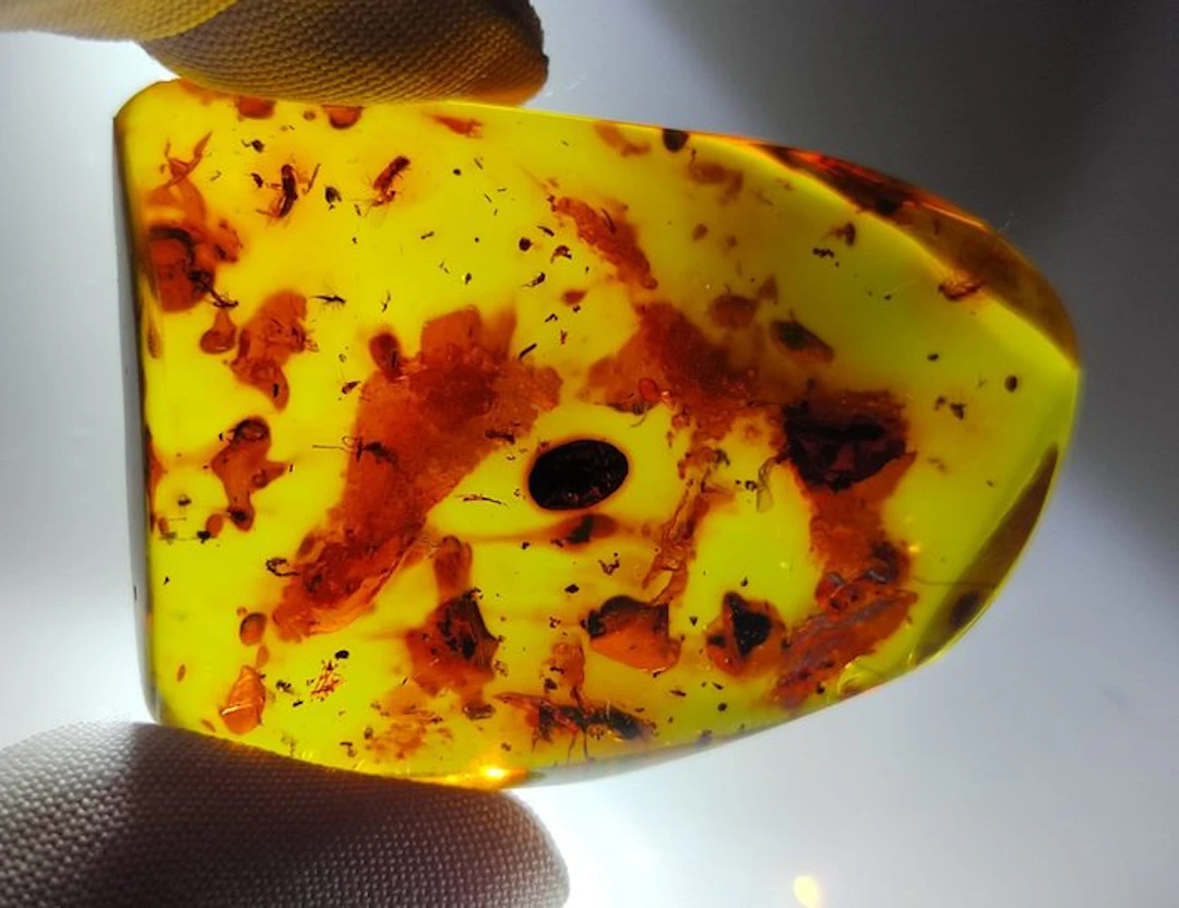 FOSSlL-AMAZING!! Dominican amber- 15.4 g