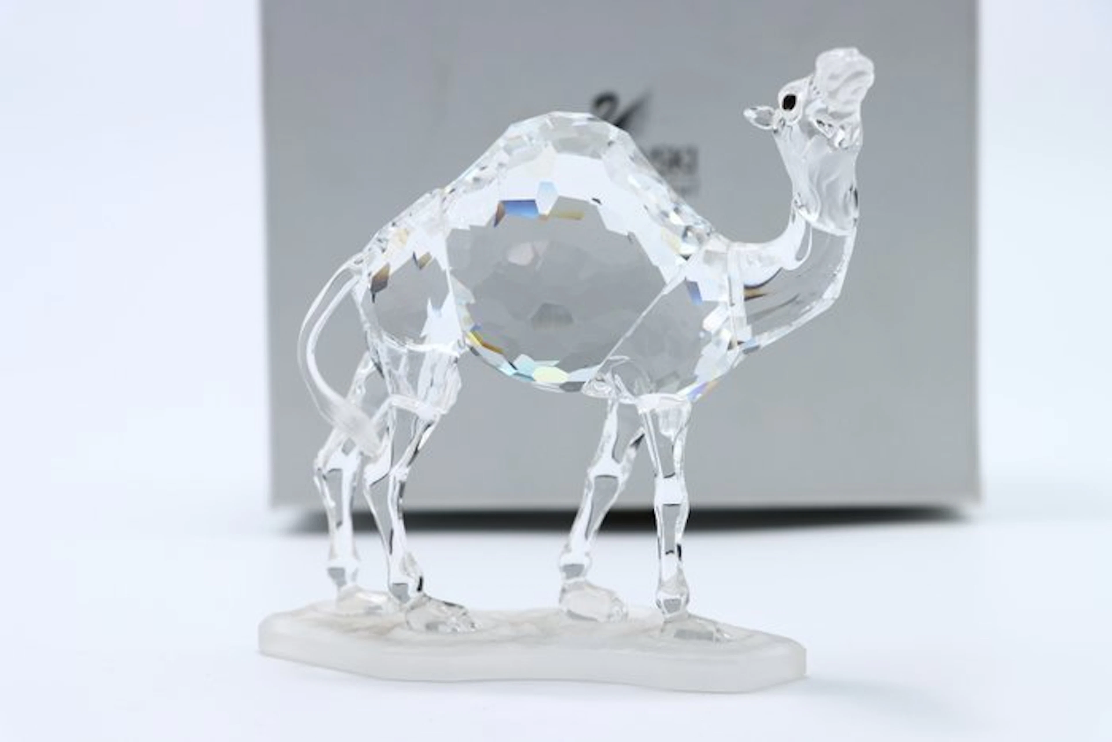 Figure - Swarovski - Dromedaris (Boxed) - Crystal