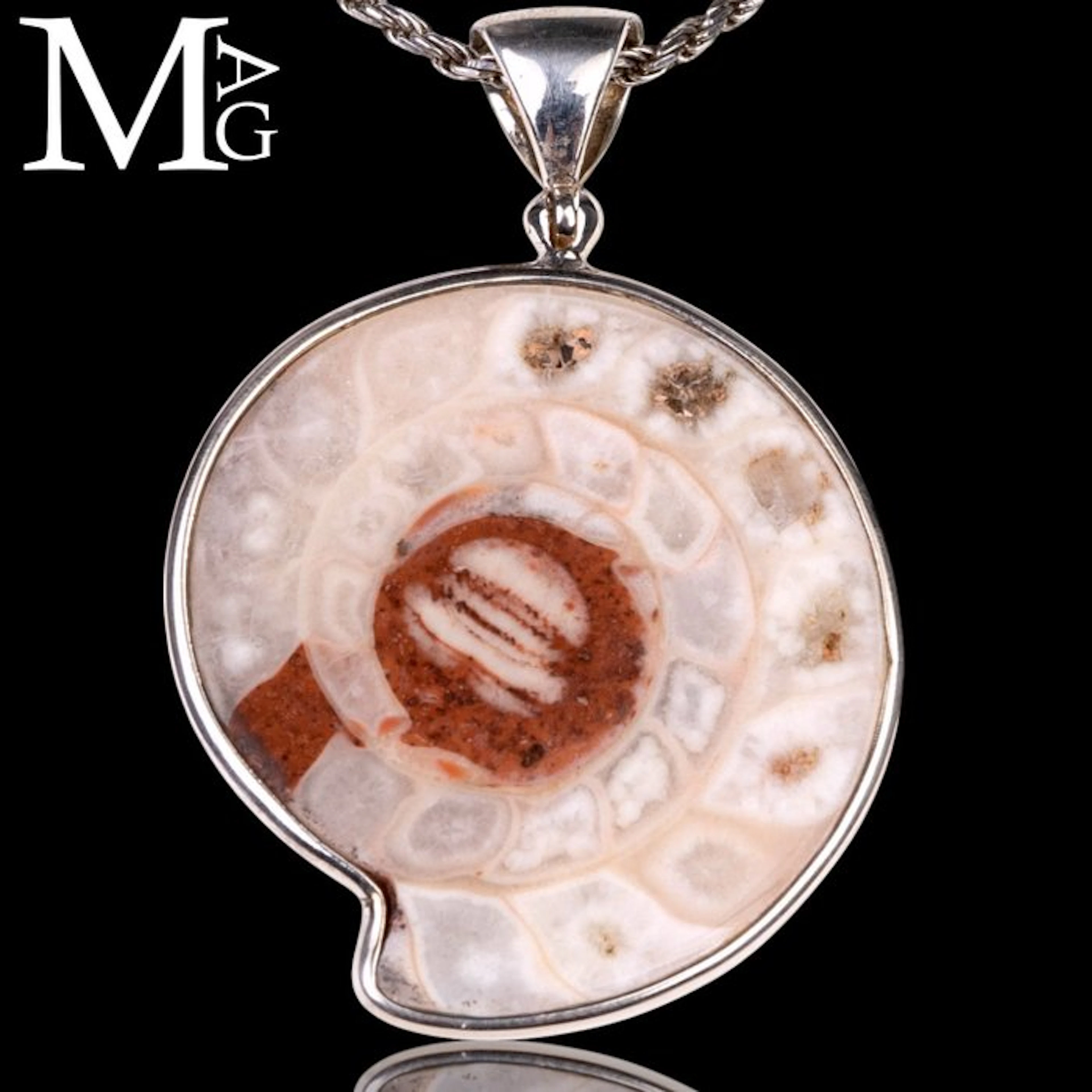 Exquisitely preserved fossilized ammonite Setting in...