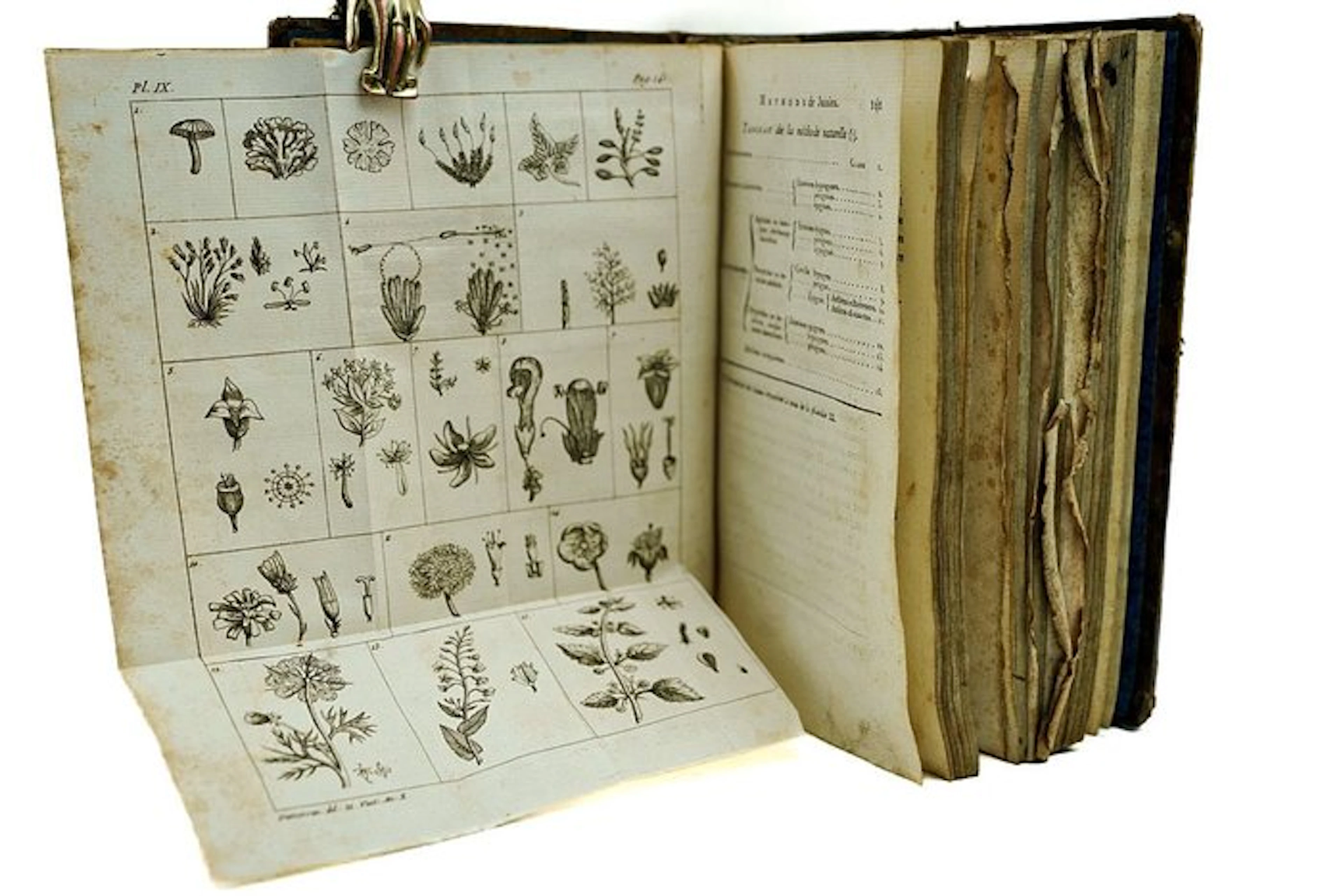 A. L. Millin - Élémens d'Histoire Naturelle - 1802