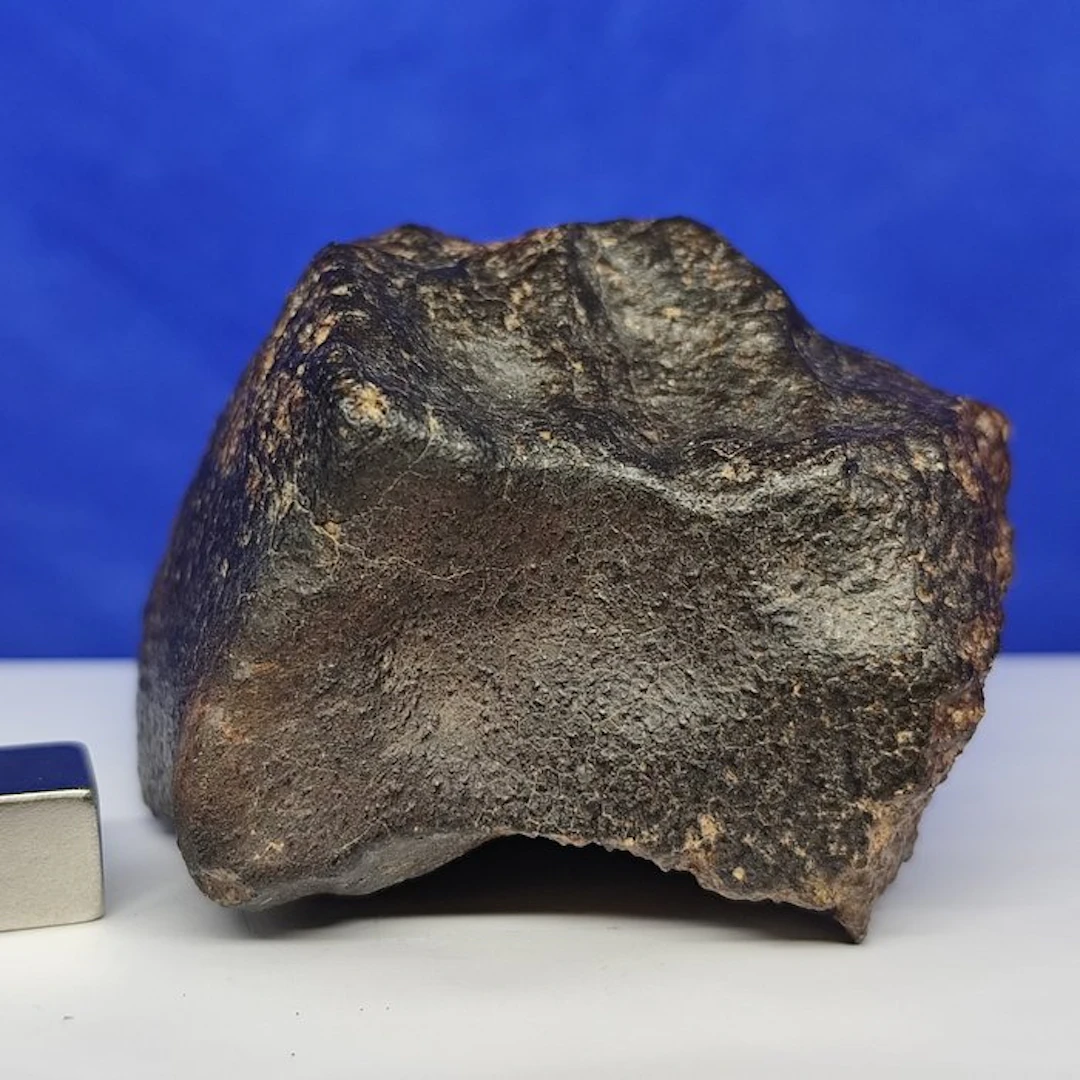 Chondrite METEORITE (Sahara