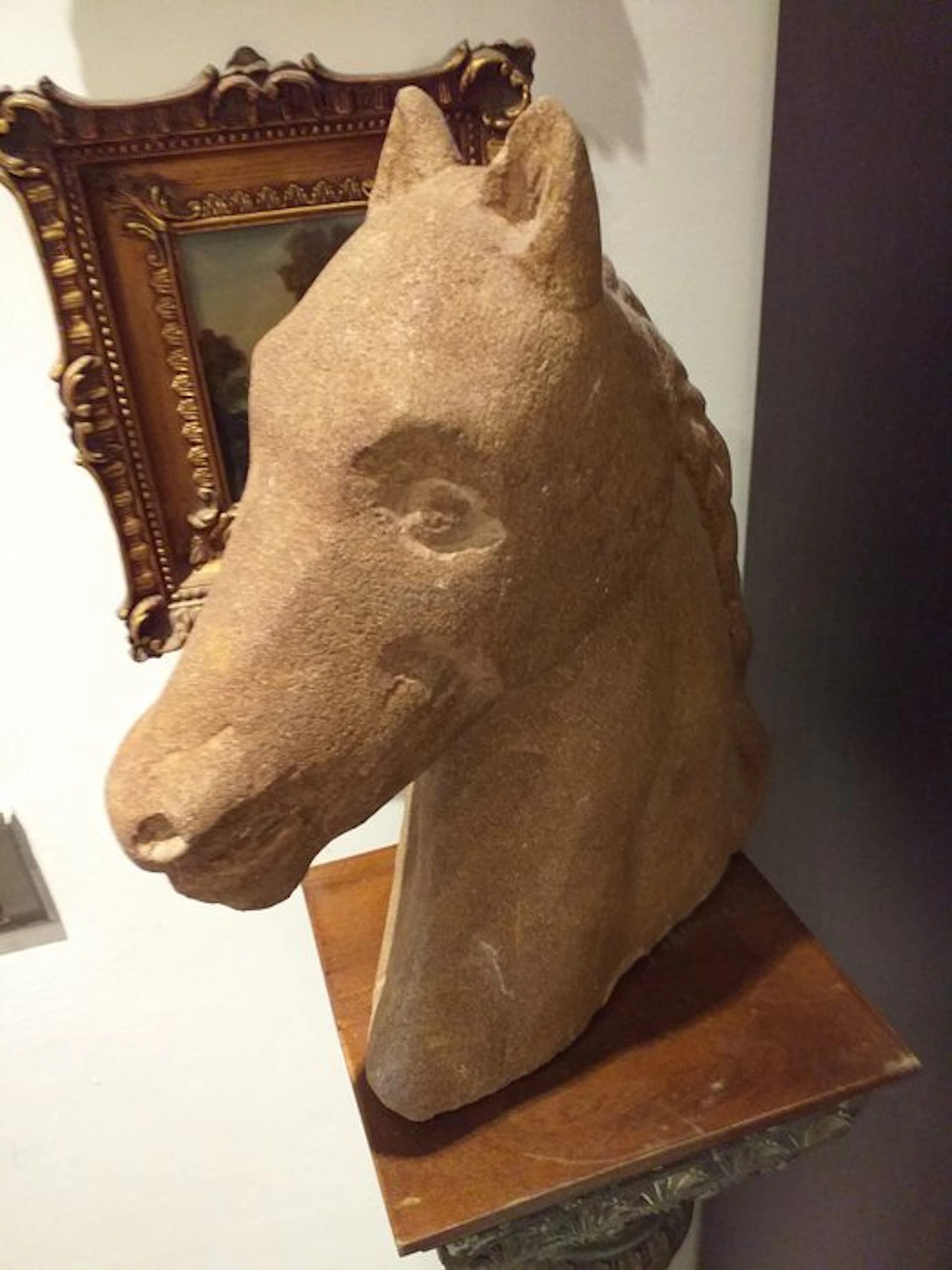Giorgio Fraino - Bust, Scultura testa cavallo - 32 cm - Sandstone - 1960