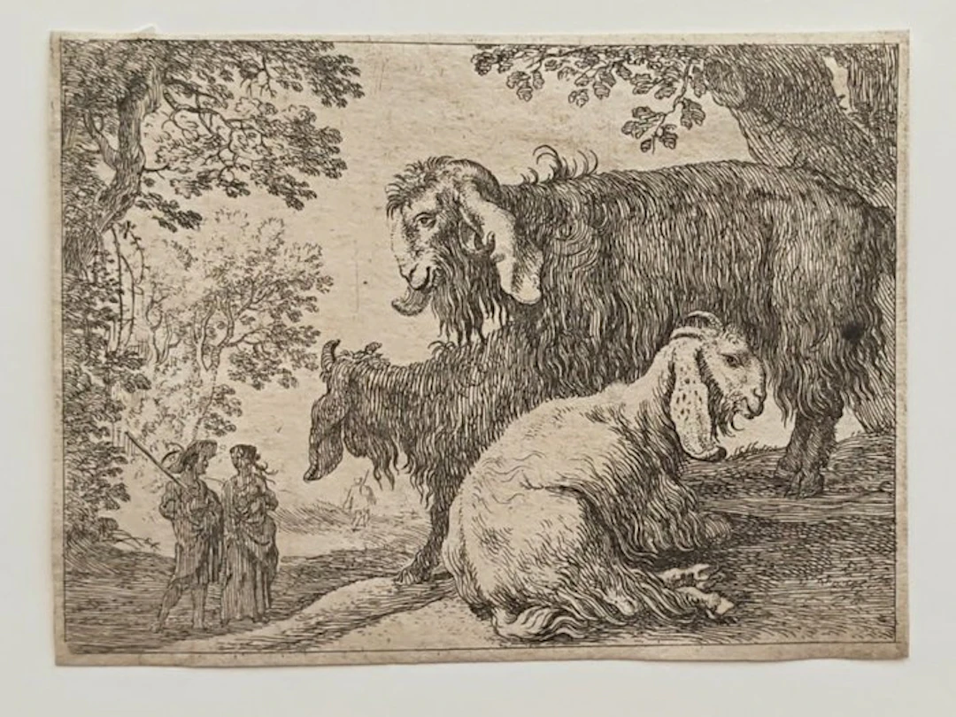 Herman van Swanevelt (c. 1600 - 1655), attribuita - Pecore d'Angora e pastori