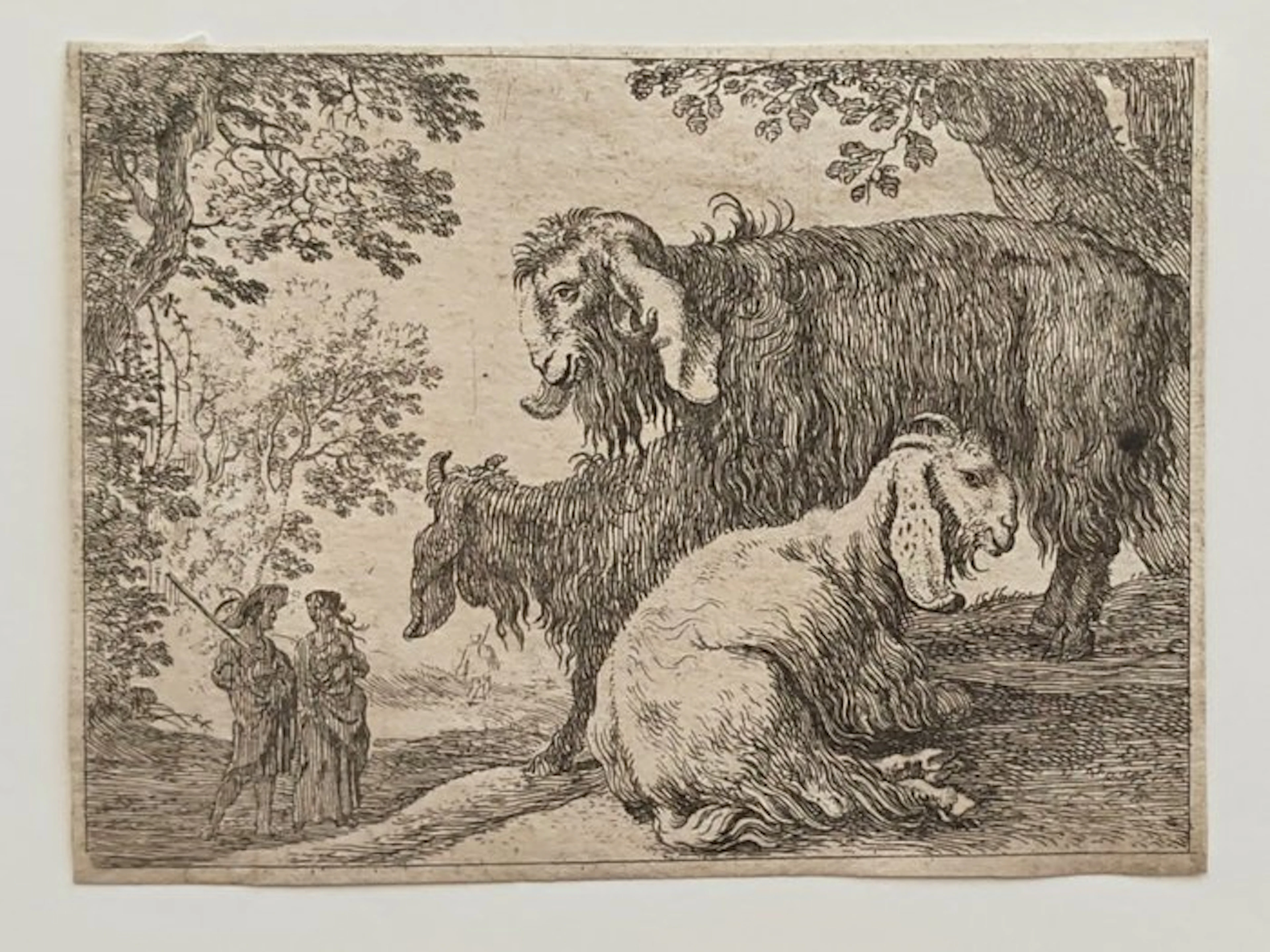 Herman van Swanevelt (c. 1600 - 1655), attribuita - Pecore d'Angora e pastori