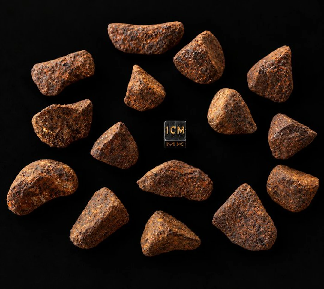 Agoudal meteorite Iron meteorite - 300 g - (15)