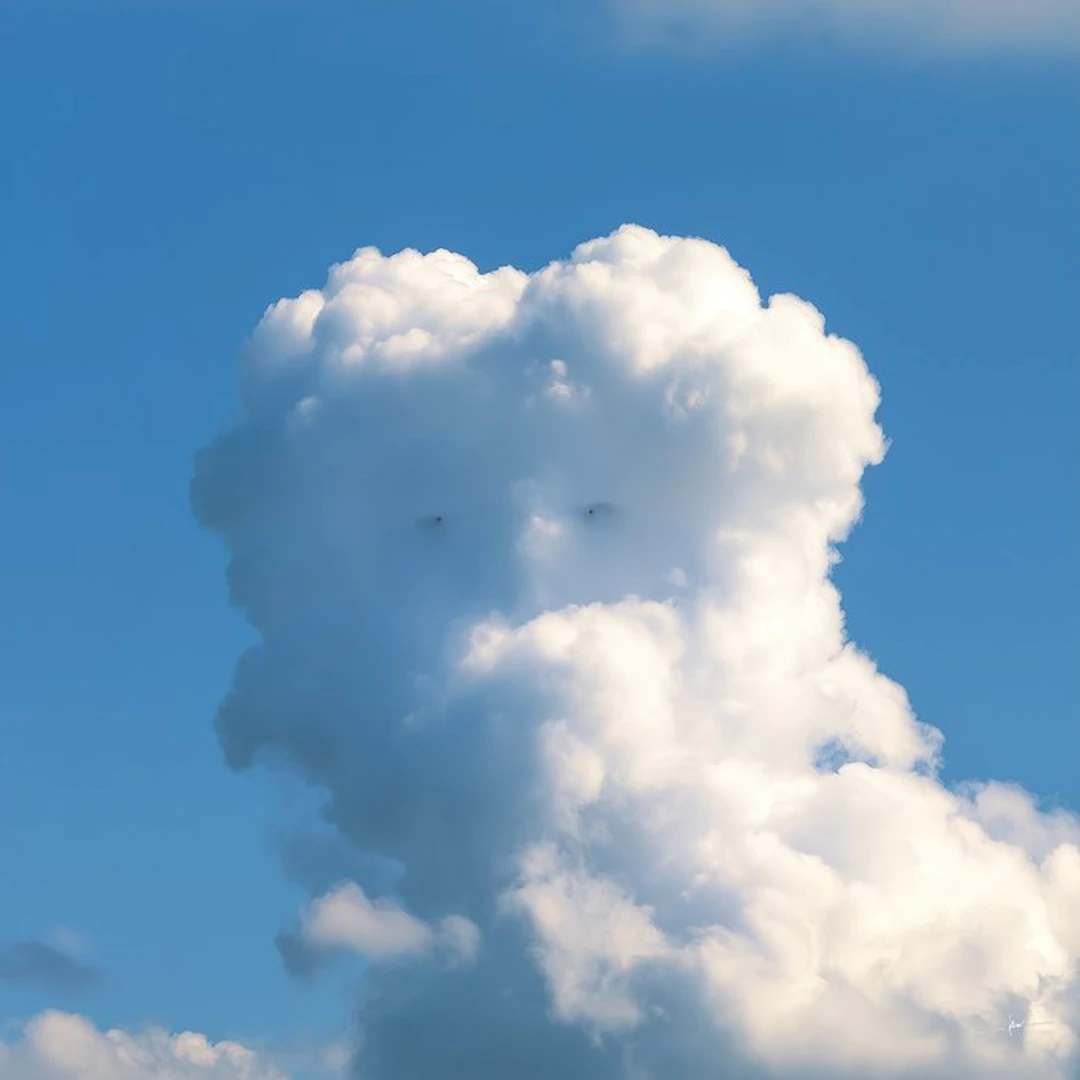 David Law - Magic Clouds - The Owl