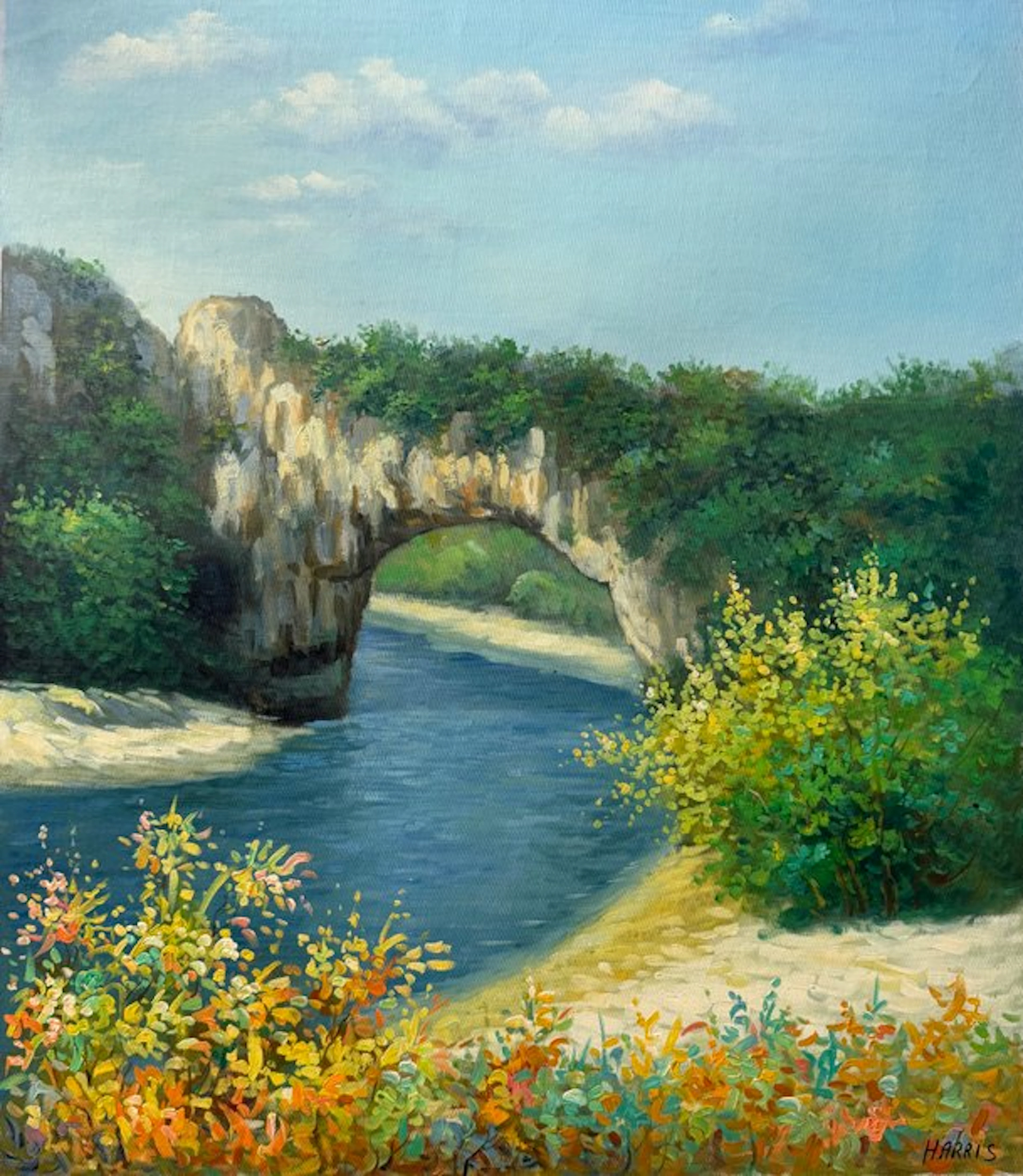 HARRIS ( XX ) - Paysage à l'arche rocheuse