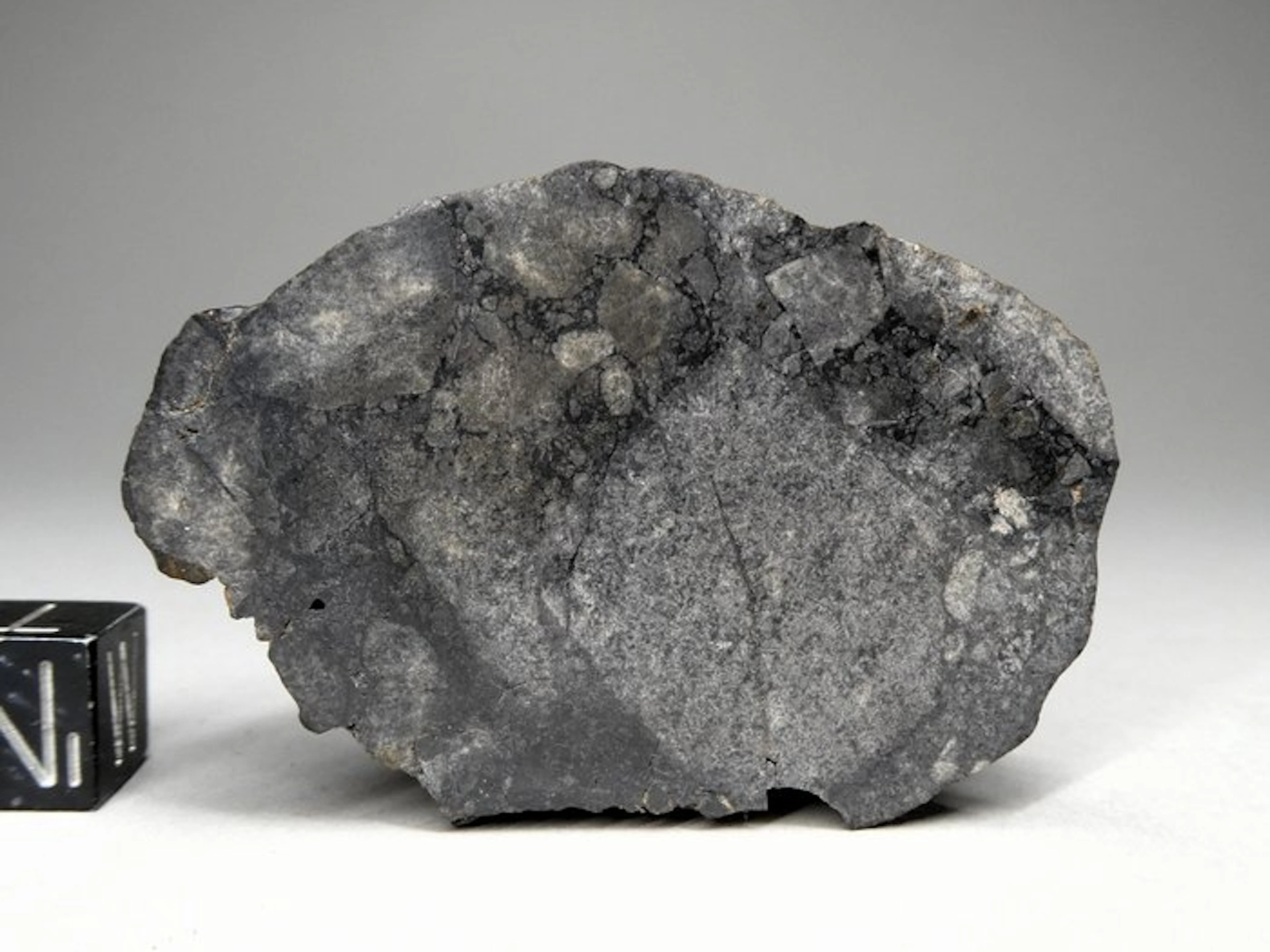 Meteorite NWA 15658 Eucrite Asteorid Vesta end-cut - 45.3 g