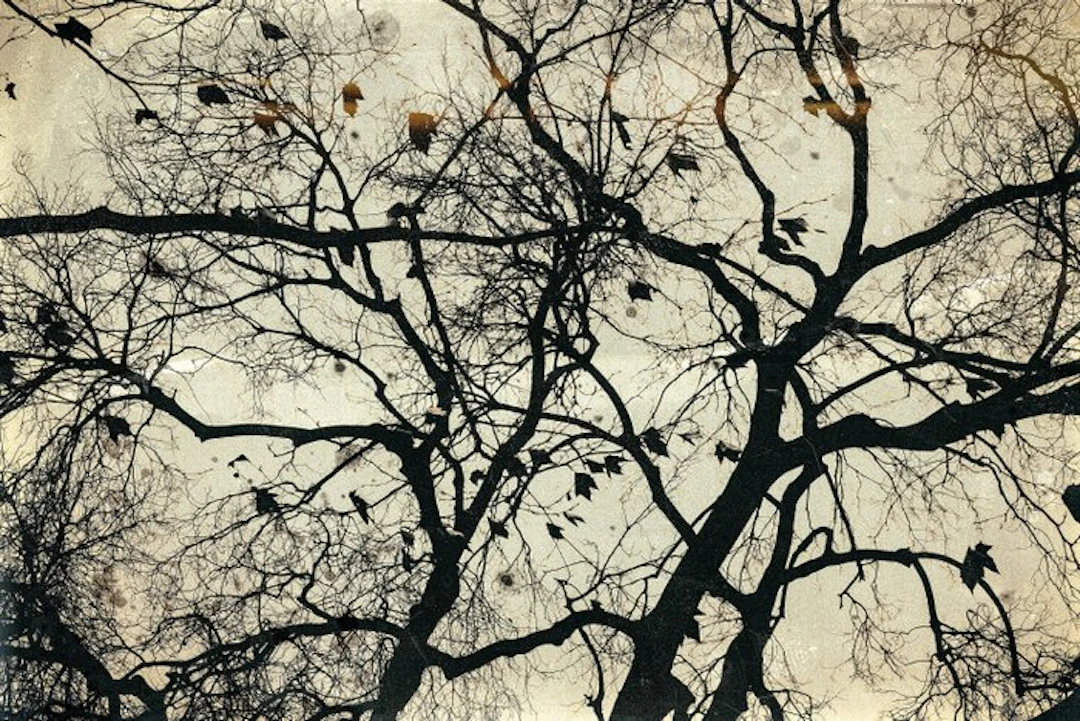 Jorge Omeñaca - Neuronal - XL