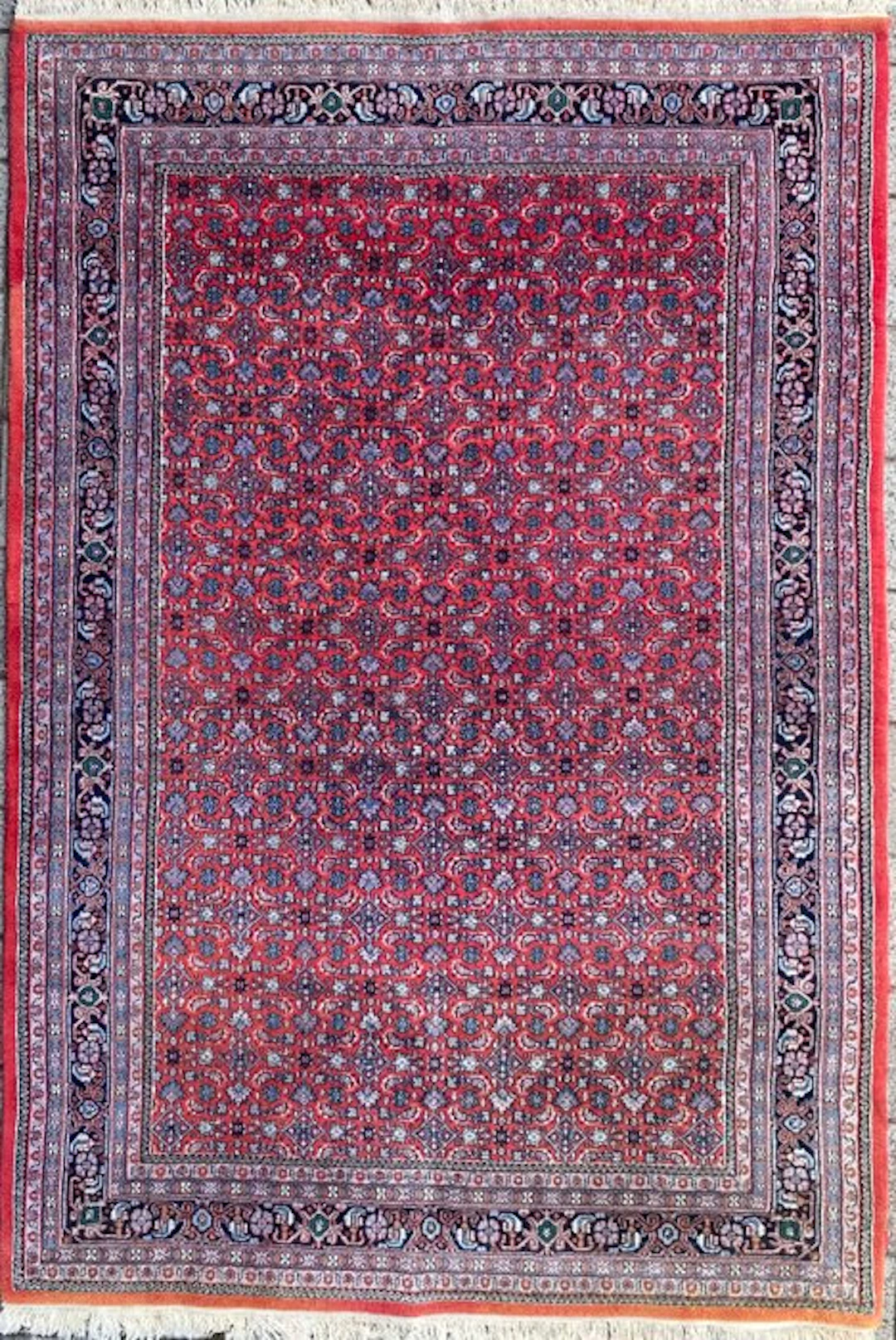 Indo Herati - Cleaned - Carpet - 296 cm - 200 cm