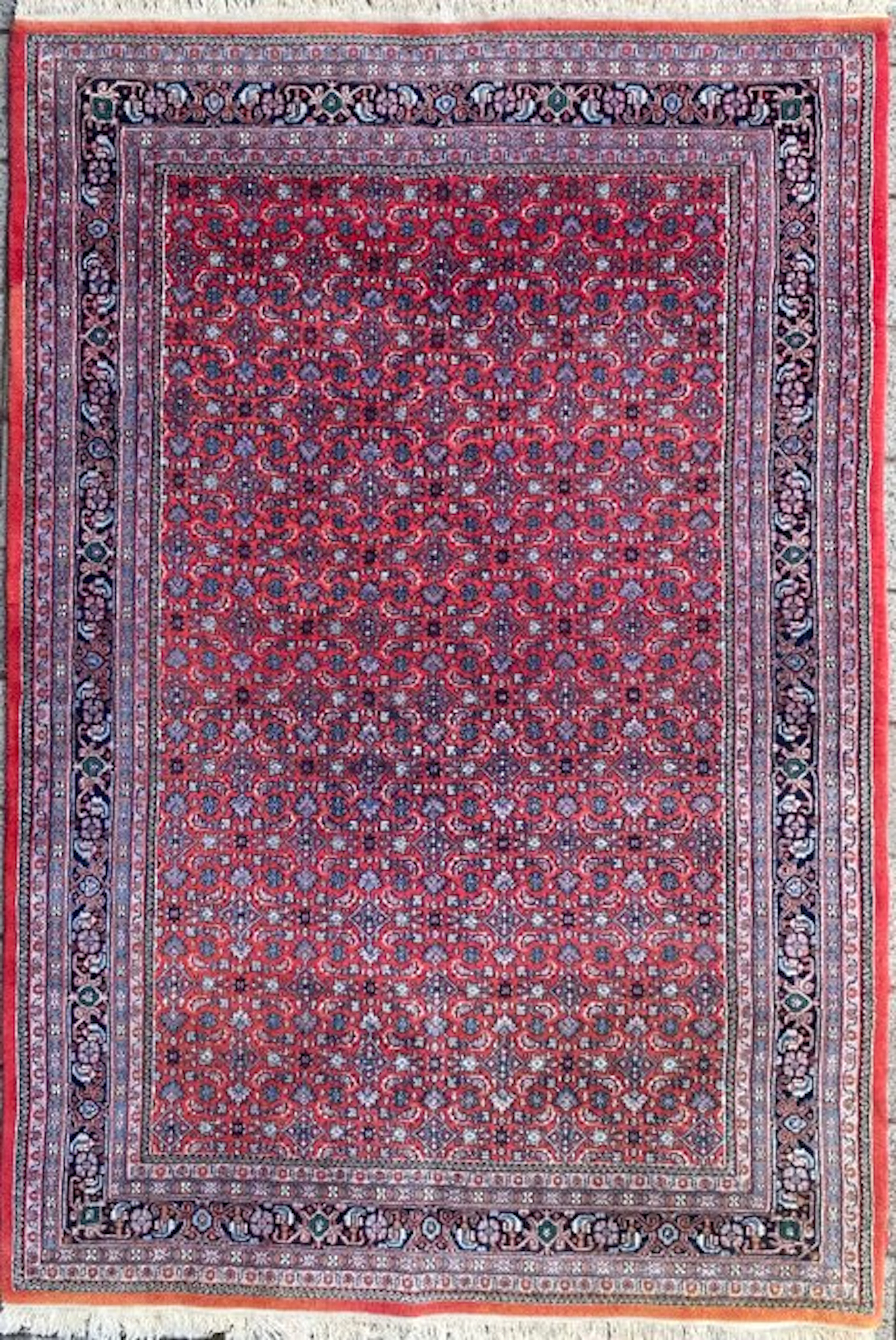 Indo Herati - Cleaned - Carpet - 296 cm - 200 cm