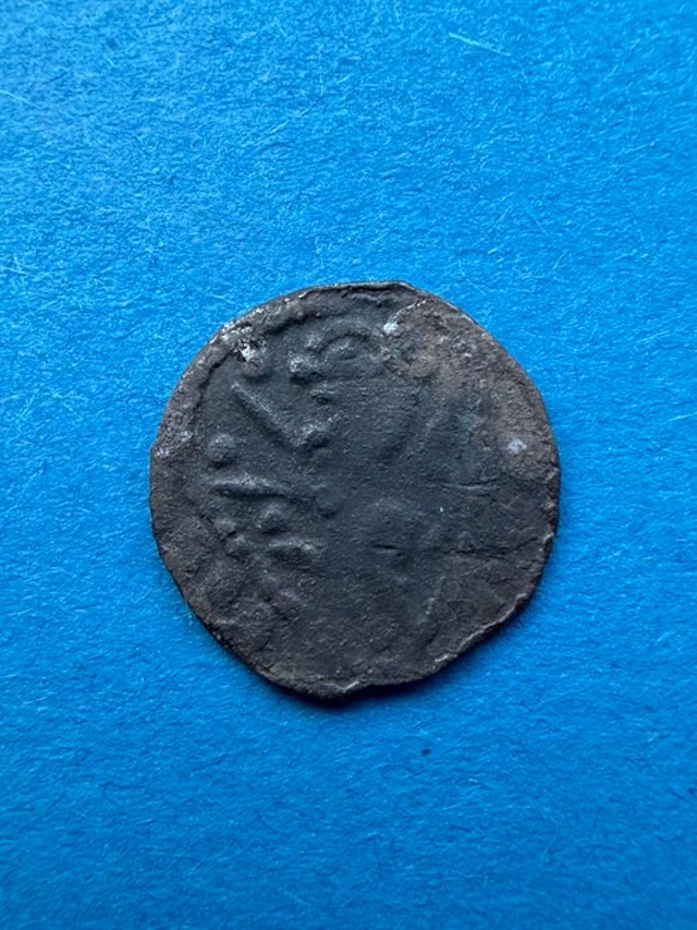 . Netherlands - Voor provicaal-nederland Aleydis van Bourgondië. denier 1261