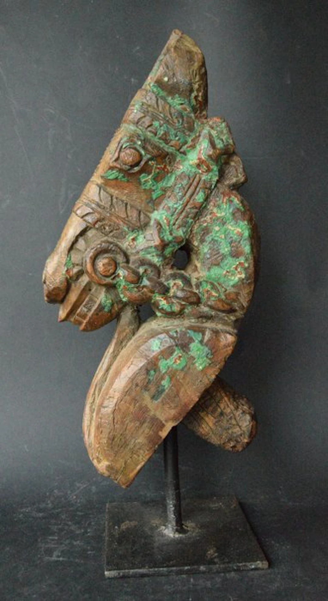 Sculpture, Ancienne tête de cheval Marwari - 40 cm - Teak - 1850