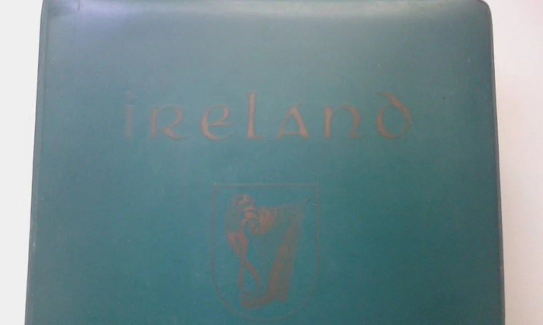 Ireland 1922/1990 - Stamp album Ireland (1922 - 1989) + stock book