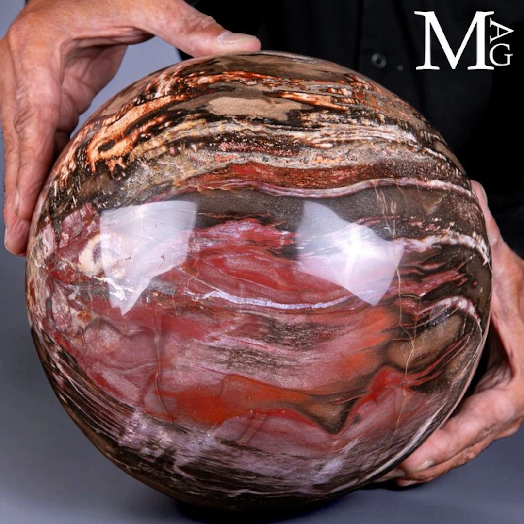 Triassic Petrified Wood Sphere - Large polished sphere...