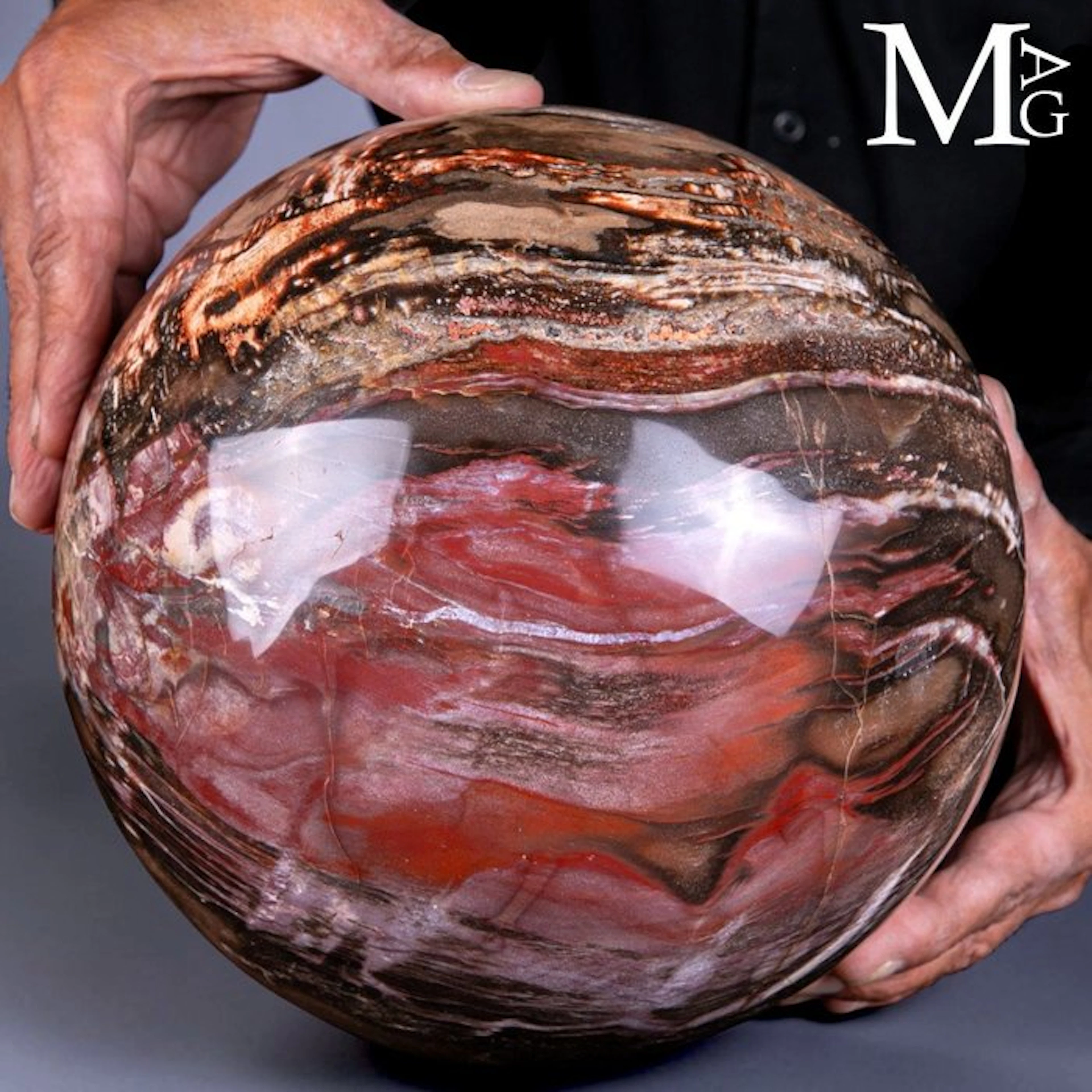 Triassic Petrified Wood Sphere - Large polished sphere...