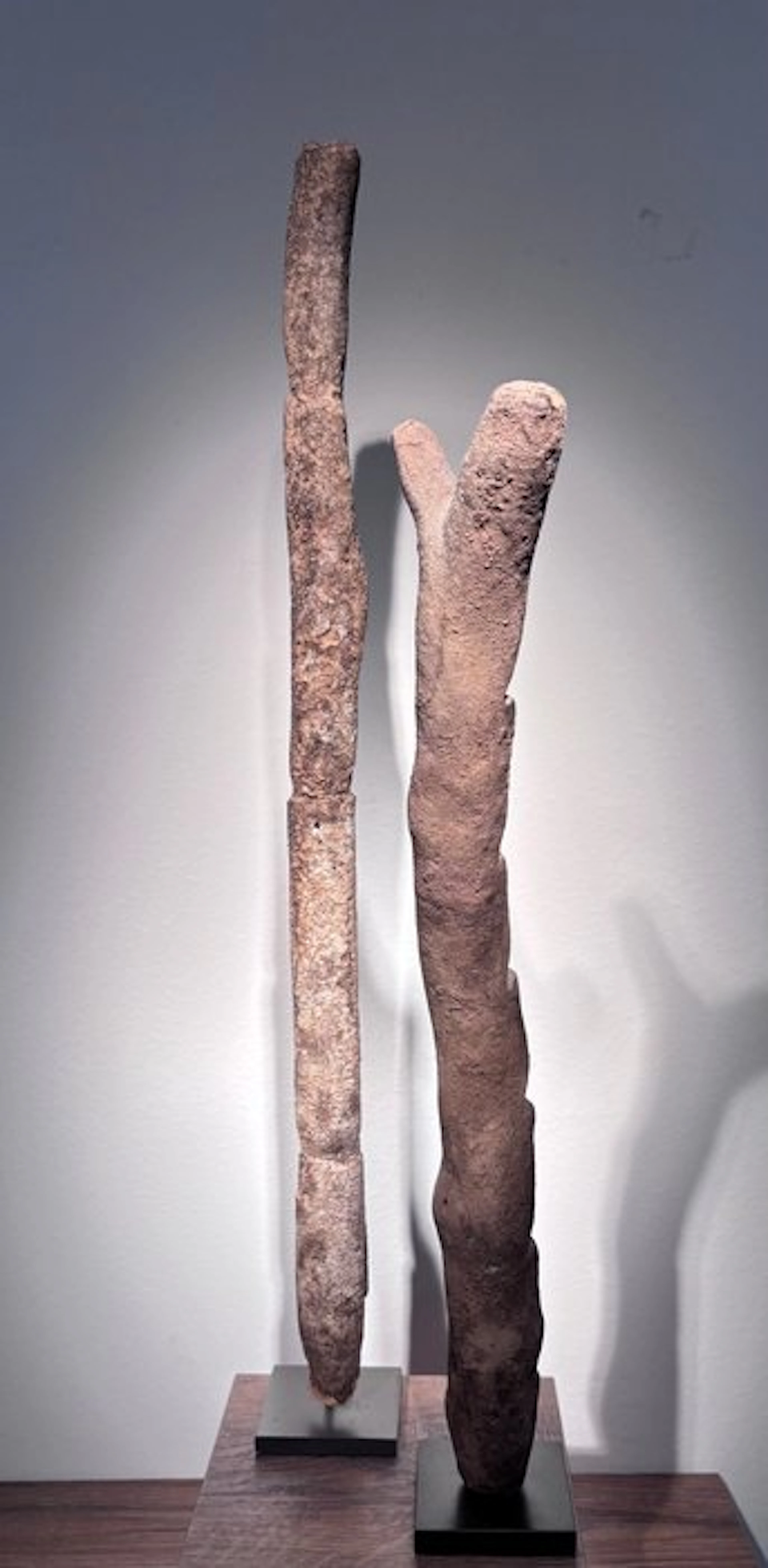 Dogon votive leader - Mali
