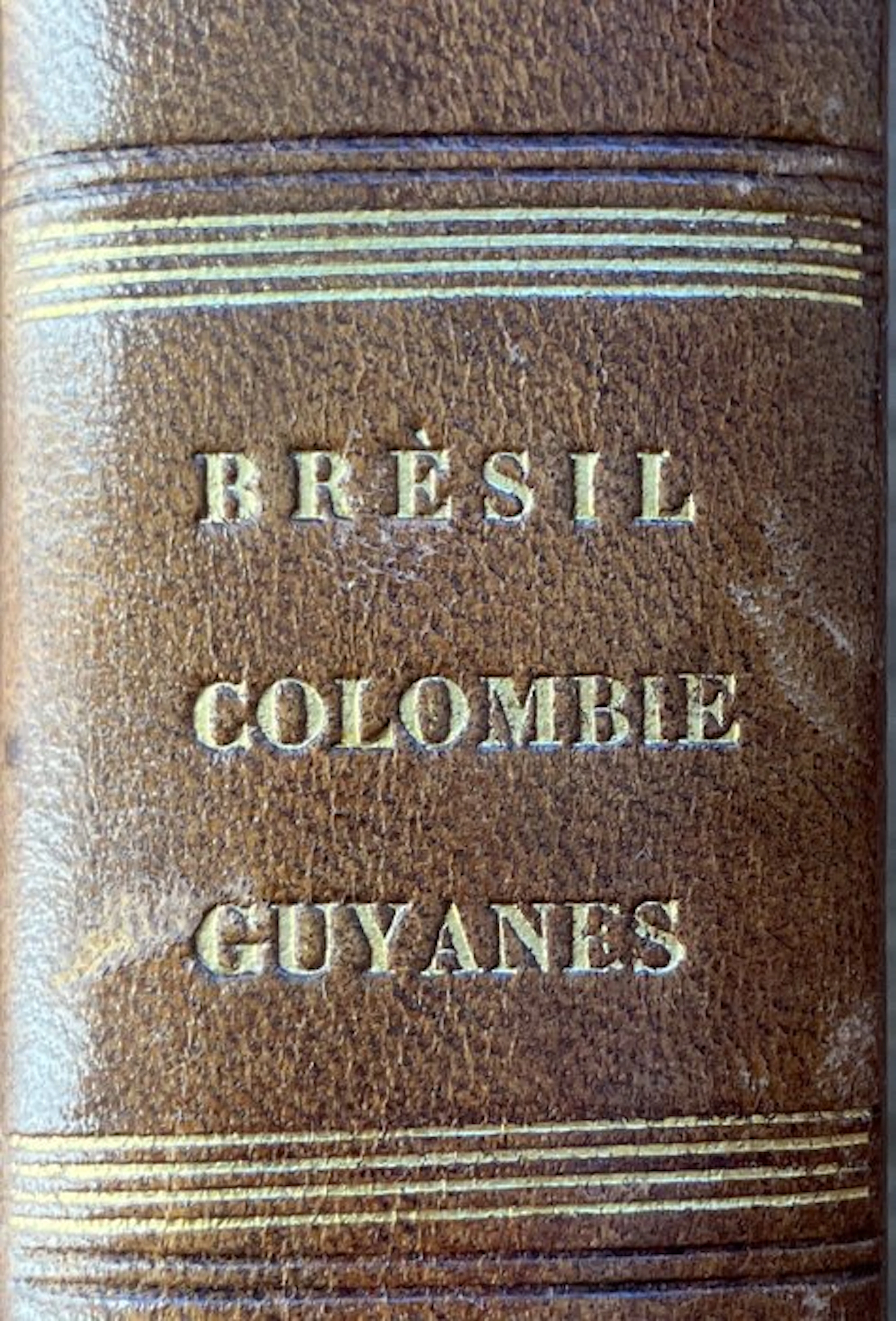 M. Ferdinand Denis - l'Univers: Brésil