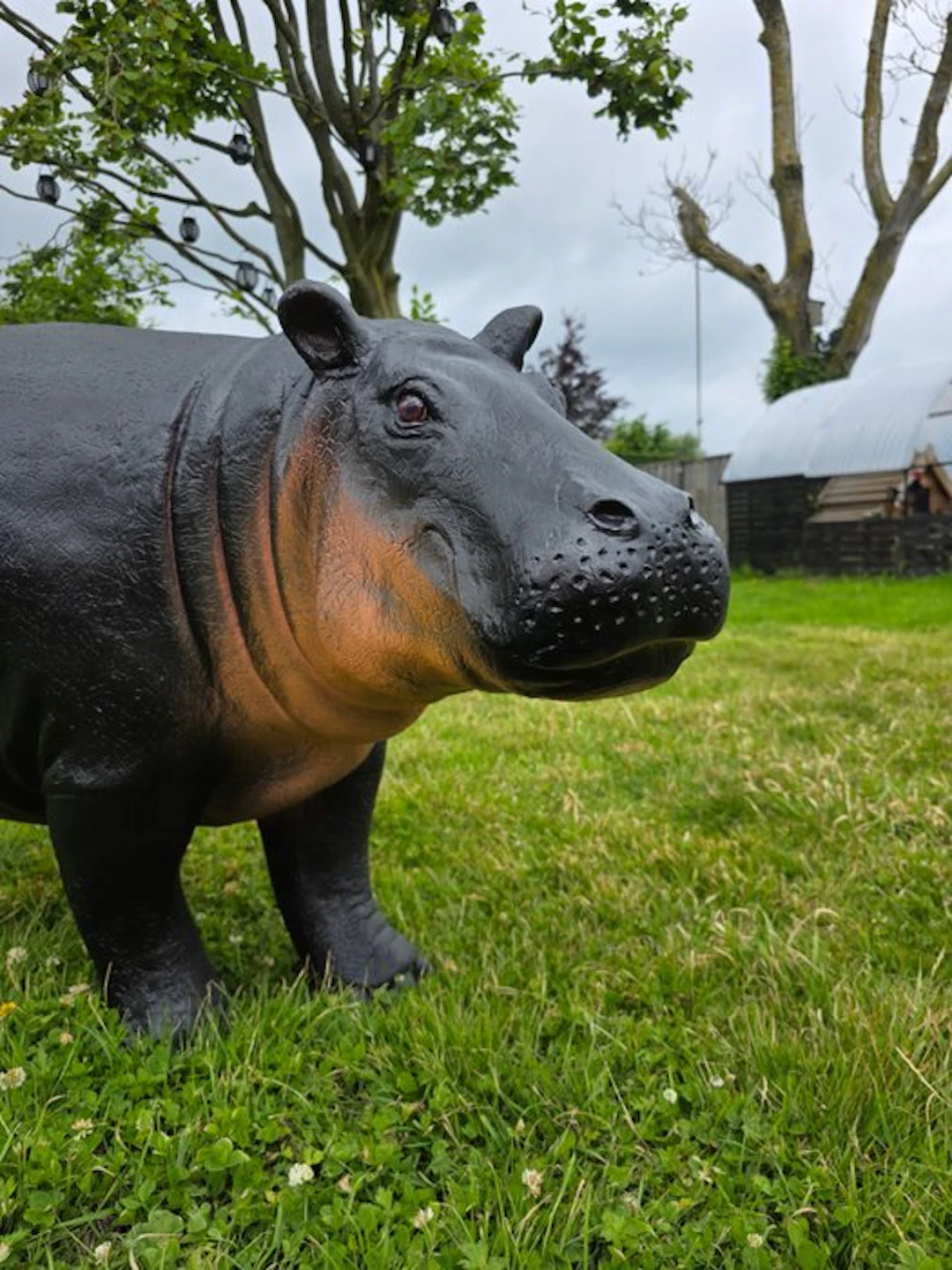 Statue, XL Hippo - 72.5 cm - mgo - 2026