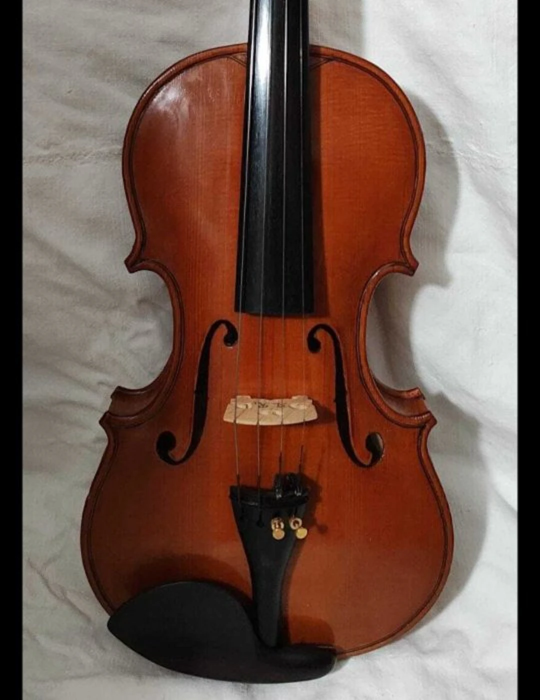 Amleto Ruffilli - - Violin - Italy - 2001