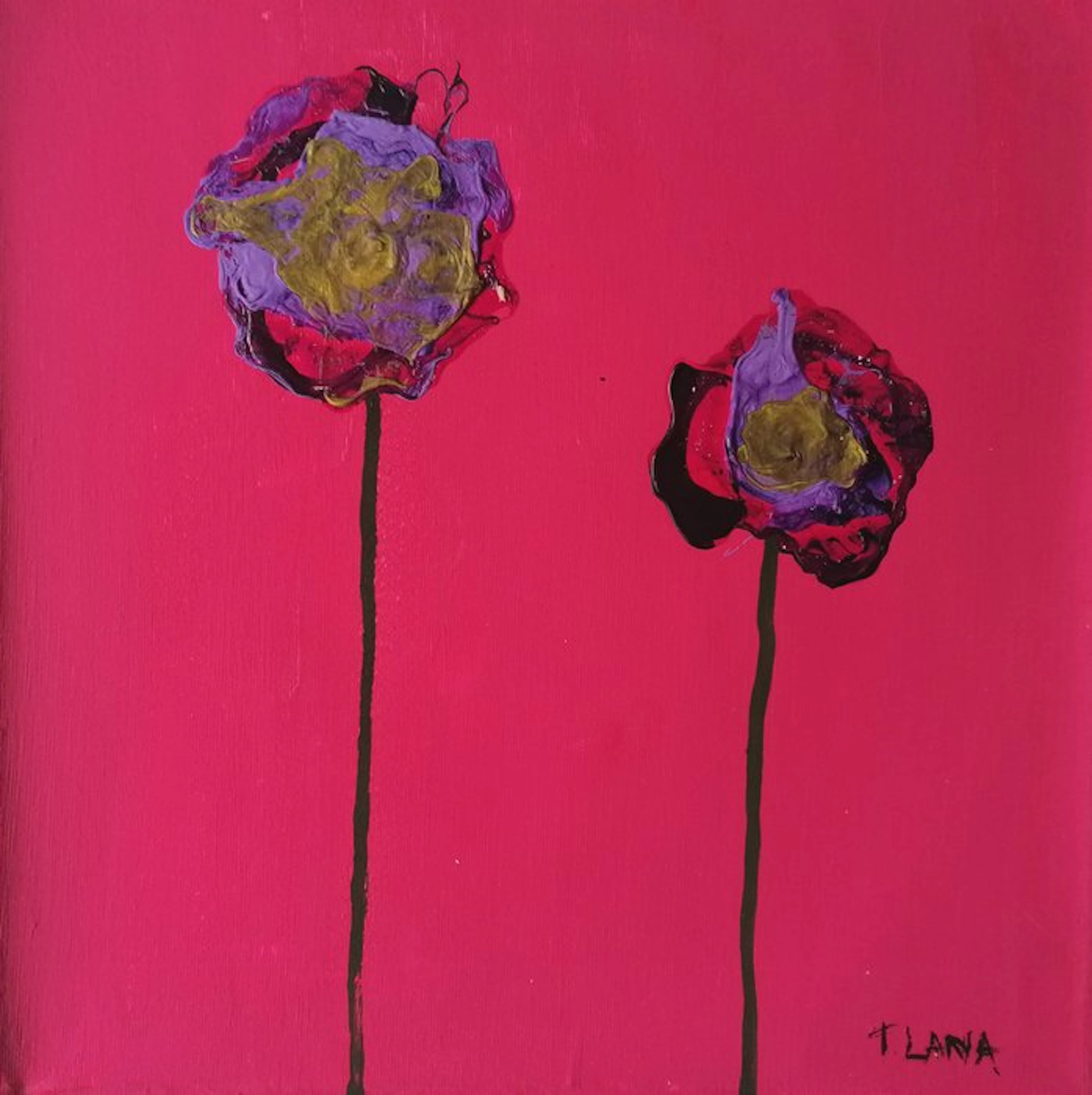 Terenzio Lana - violette salmonate