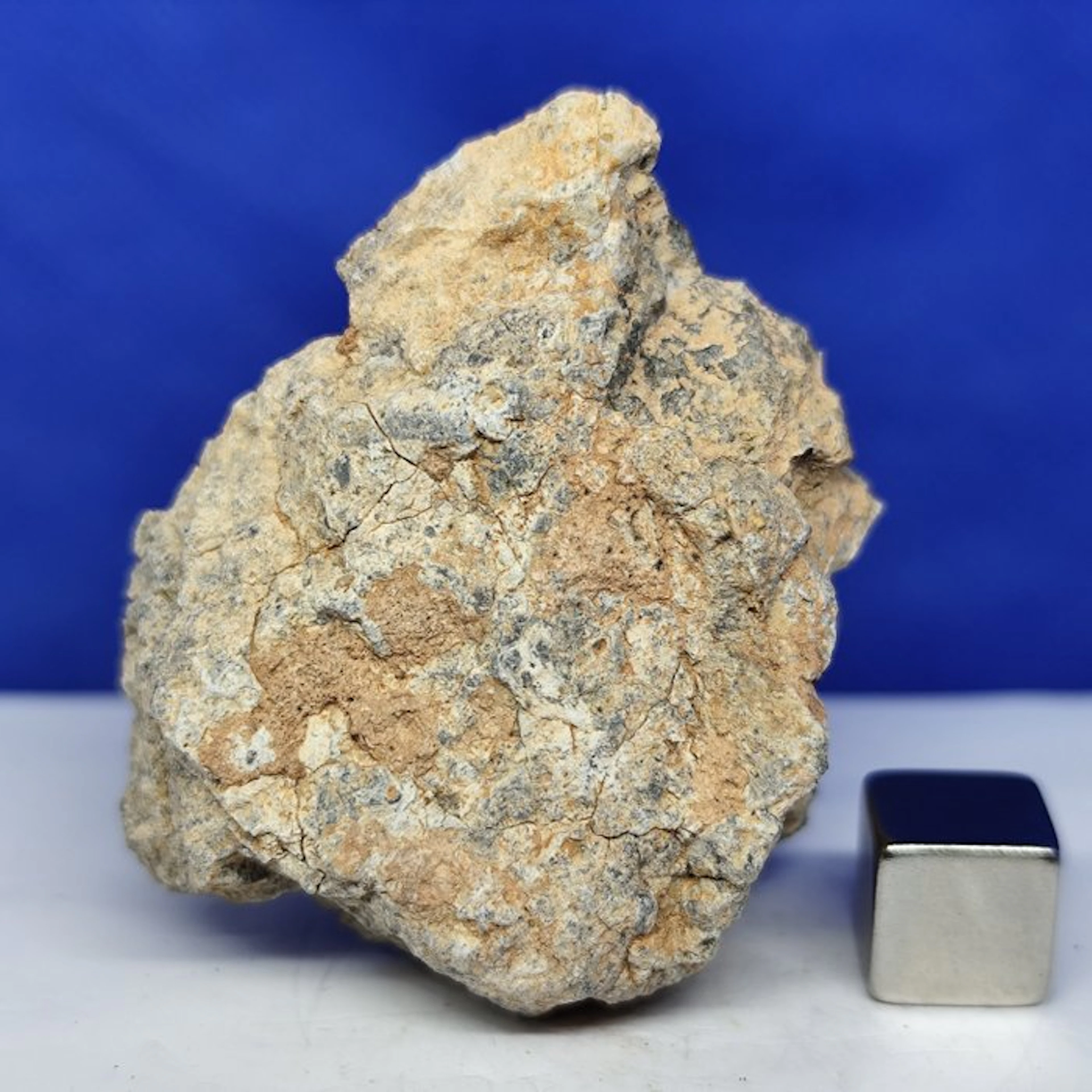 XL GABBRO LUNAR Meteorite (Melt Breccia)