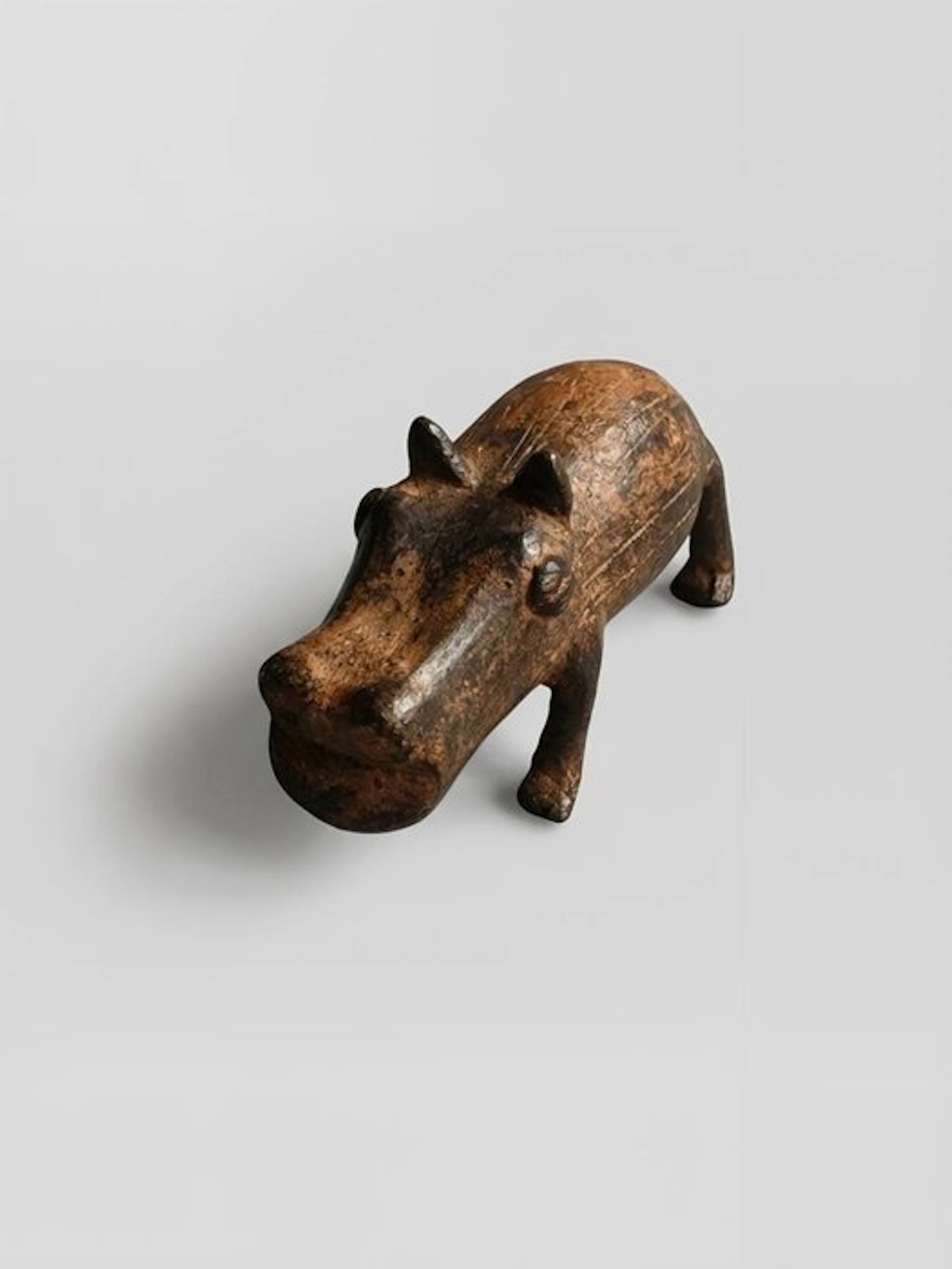 Hippopotamus - Botswana (No reserve price)