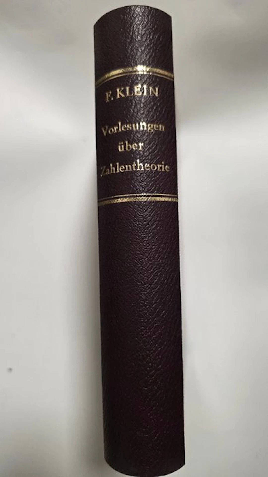 Felix Klein - Ausgewählte Kapitel der Zahlentheorie I - 1896