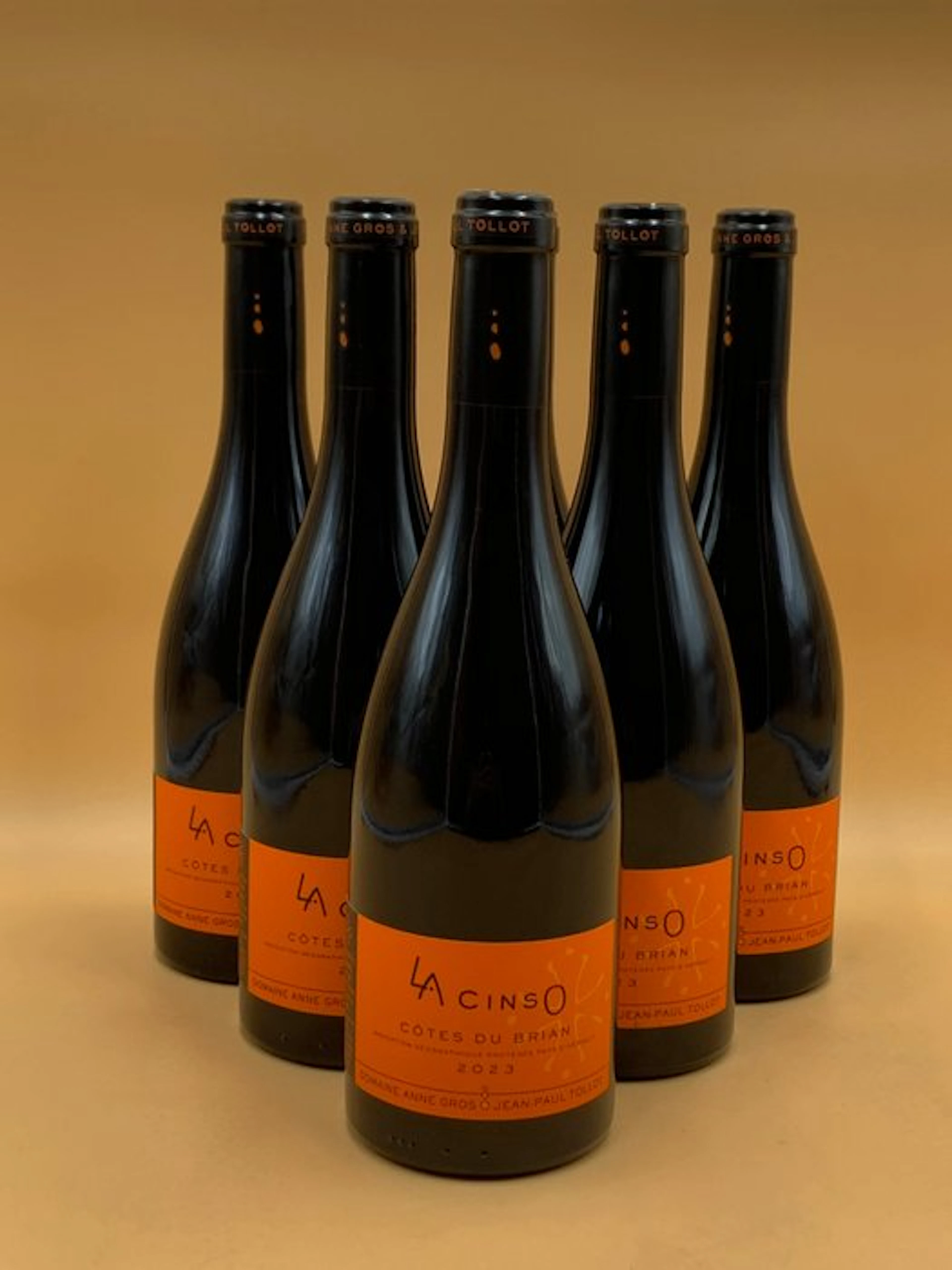 2023 Domaine Anne Gros & Jean-Paul Tollot La Cinso Côtes...