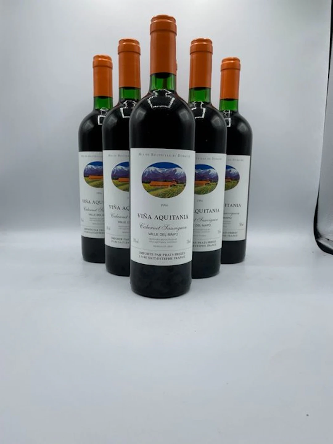 1994 Vina Aquitania Santiago, Valle del Maipo - Maipo Valley - 6 Bottle (0.75L)