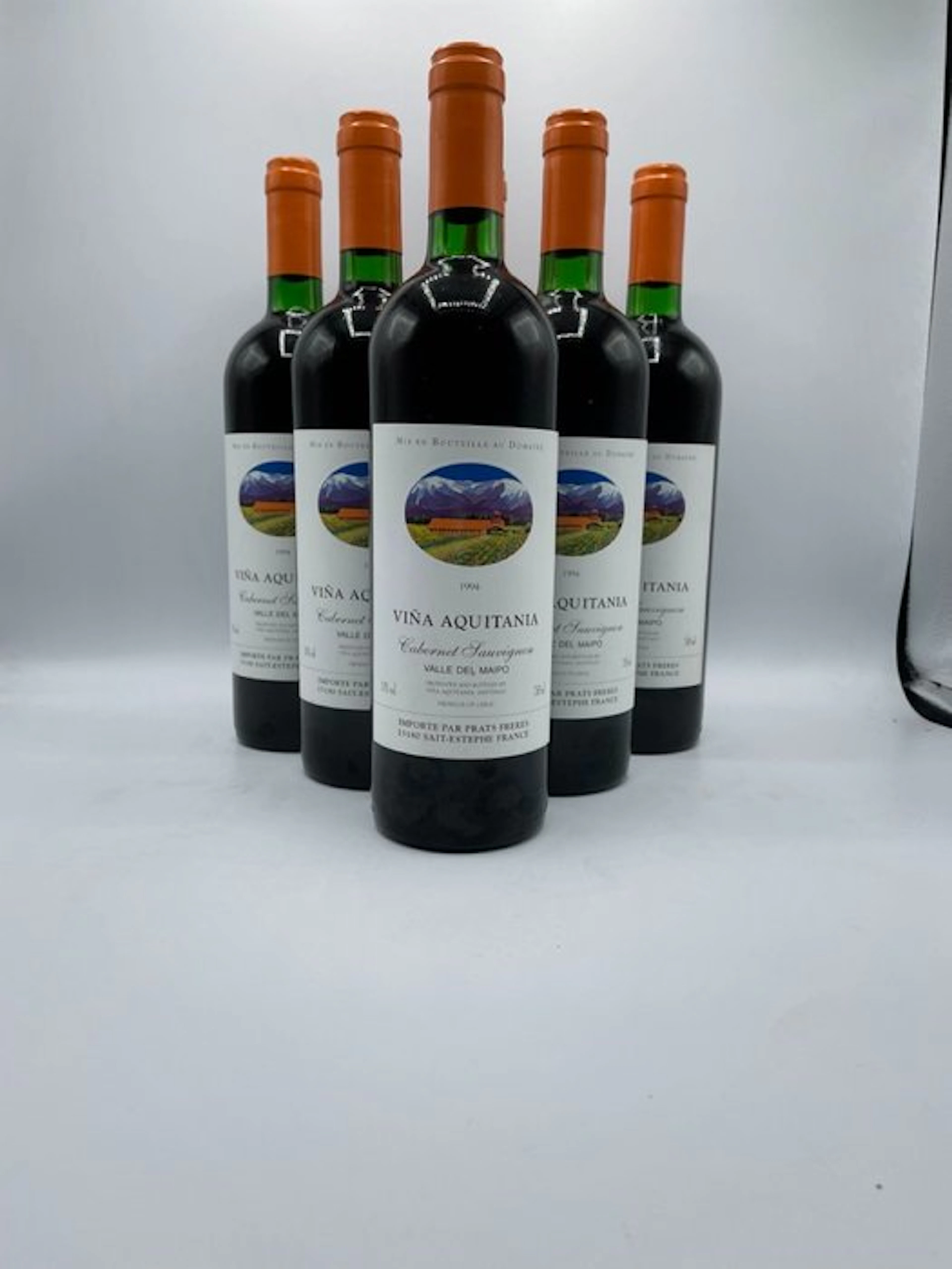 1994 Vina Aquitania Santiago, Valle del Maipo - Maipo Valley - 6 Bottle (0.75L)