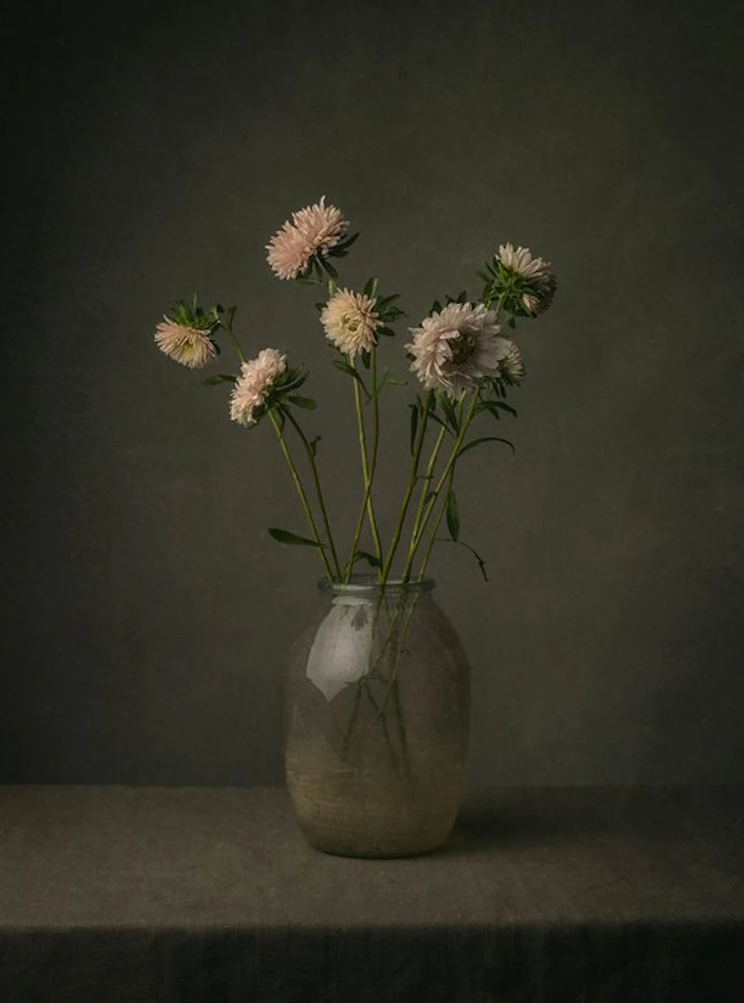 Tessa Posthuma de Boer - Aster
