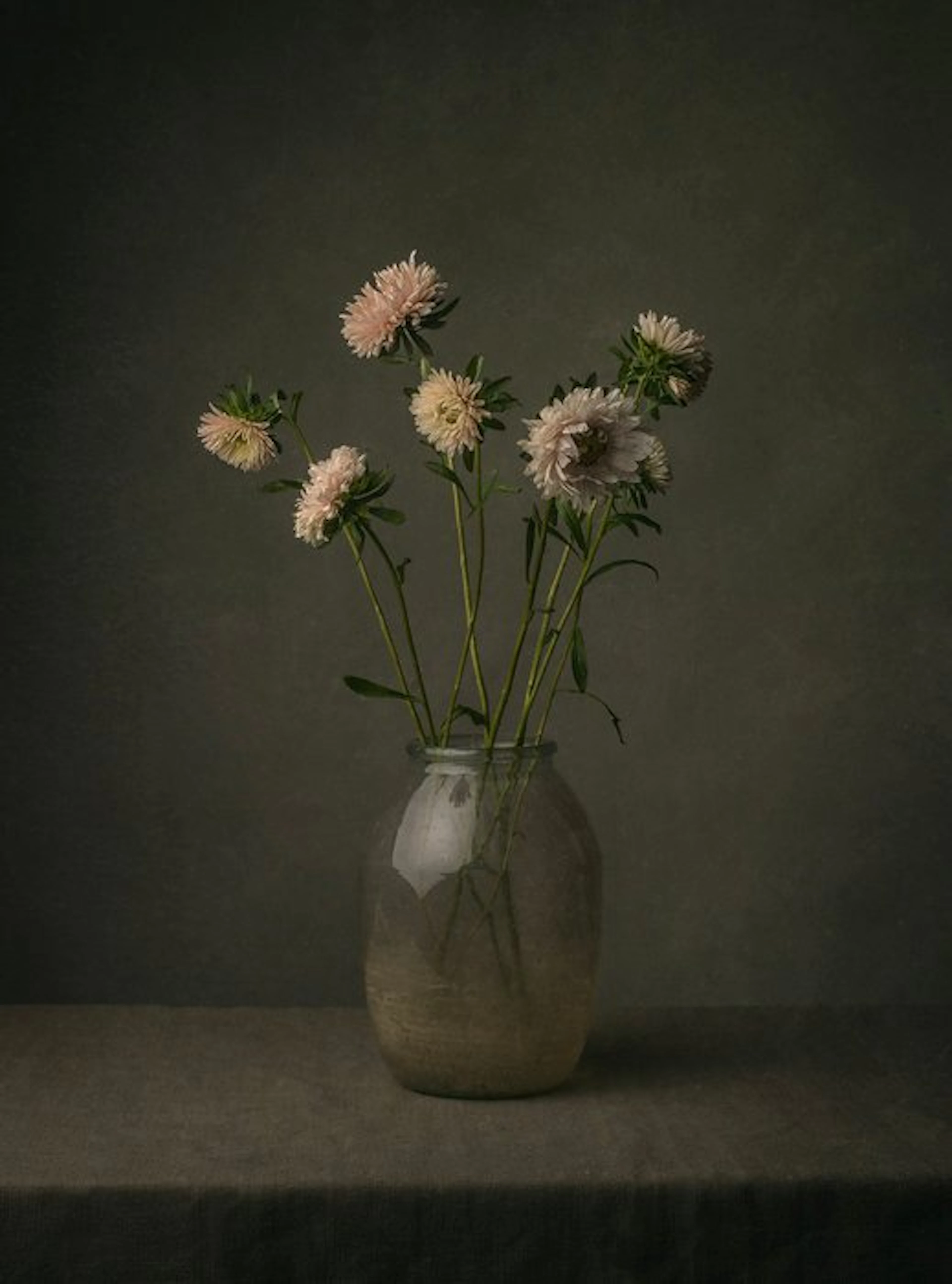 Tessa Posthuma de Boer - Aster