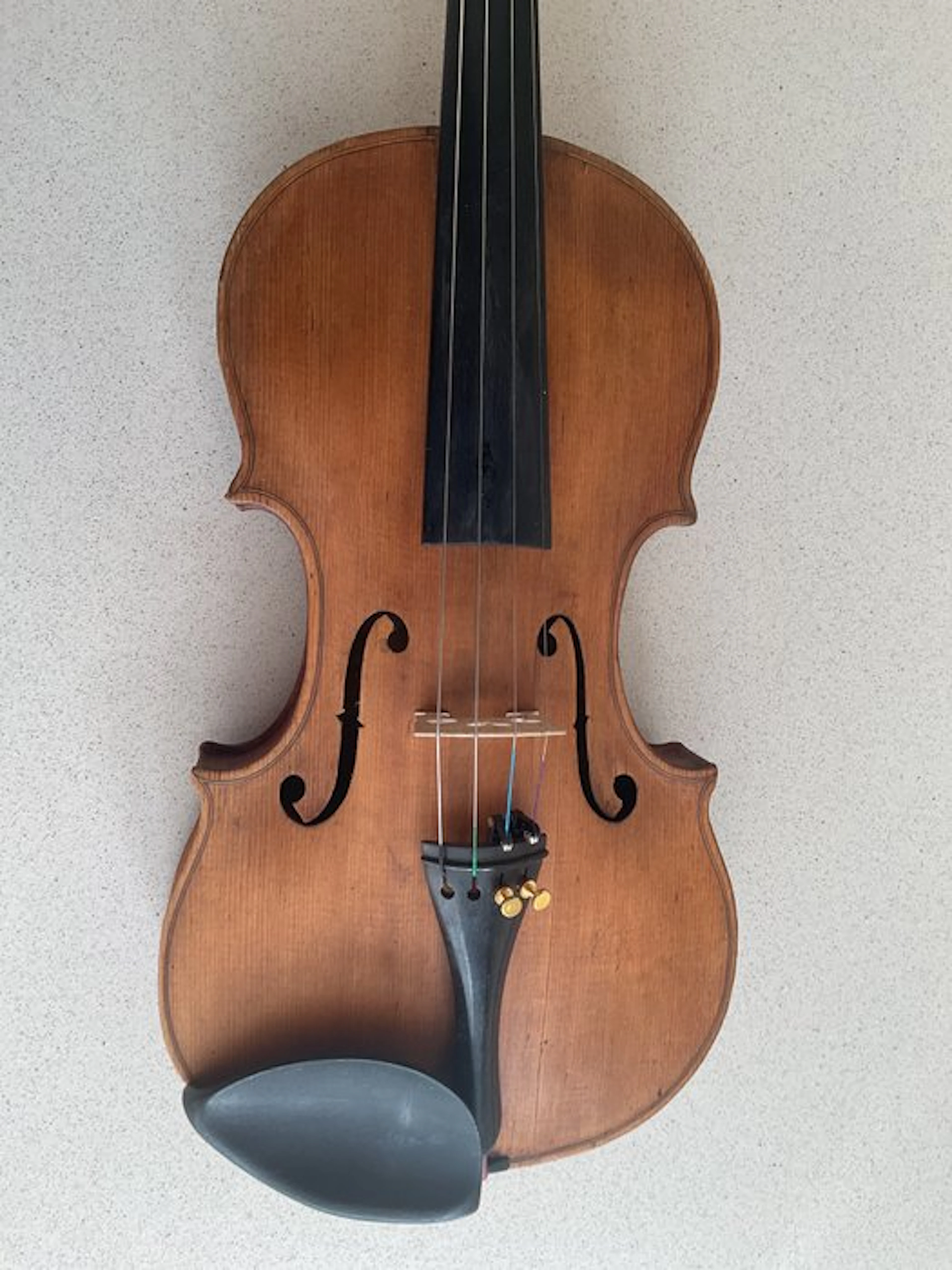 Unknown - - Violin - Germany