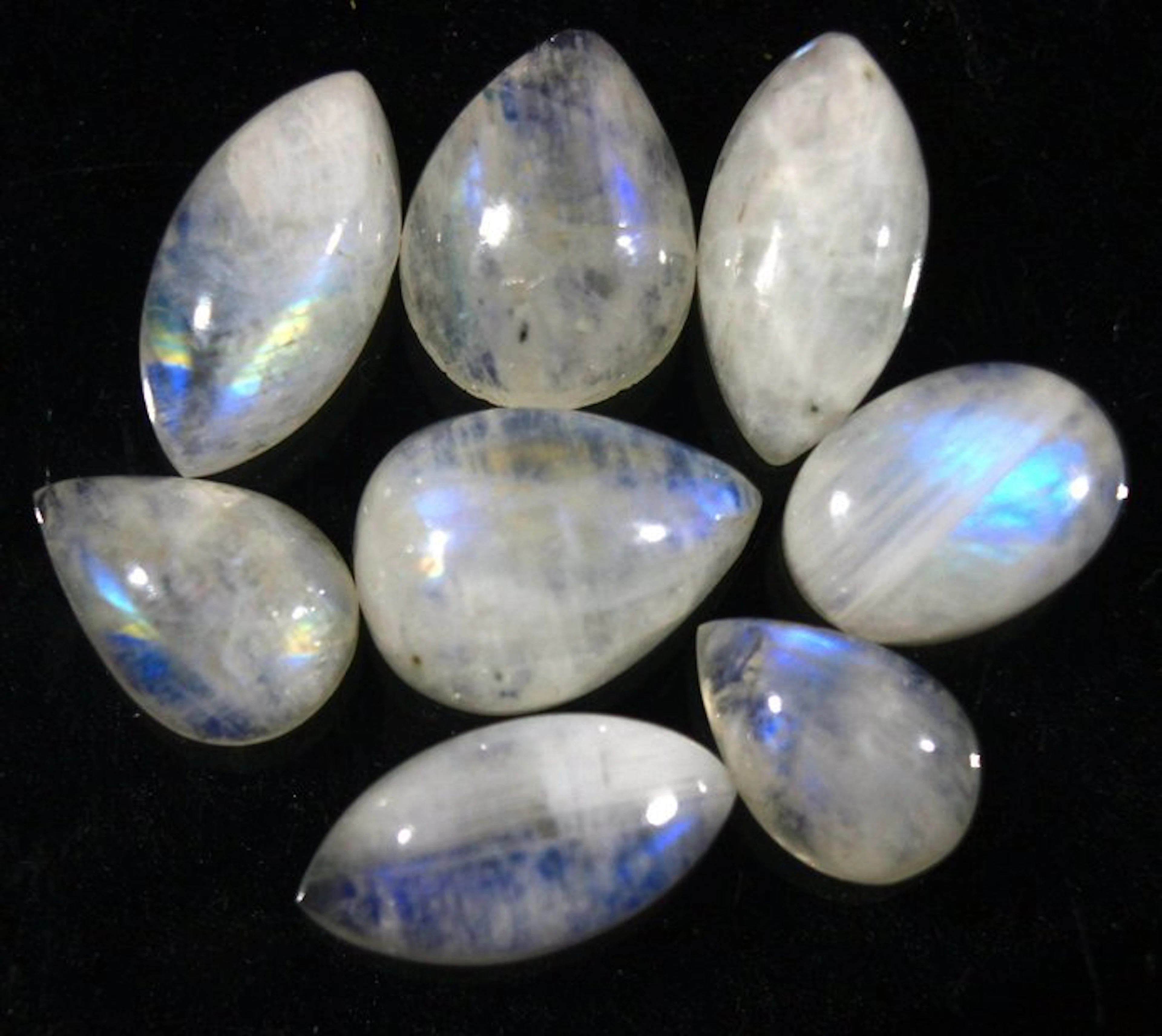 No Reserve - Collezione Ct. 50.10 Moonstone - Blue Flash Cabochon- 10.02 g