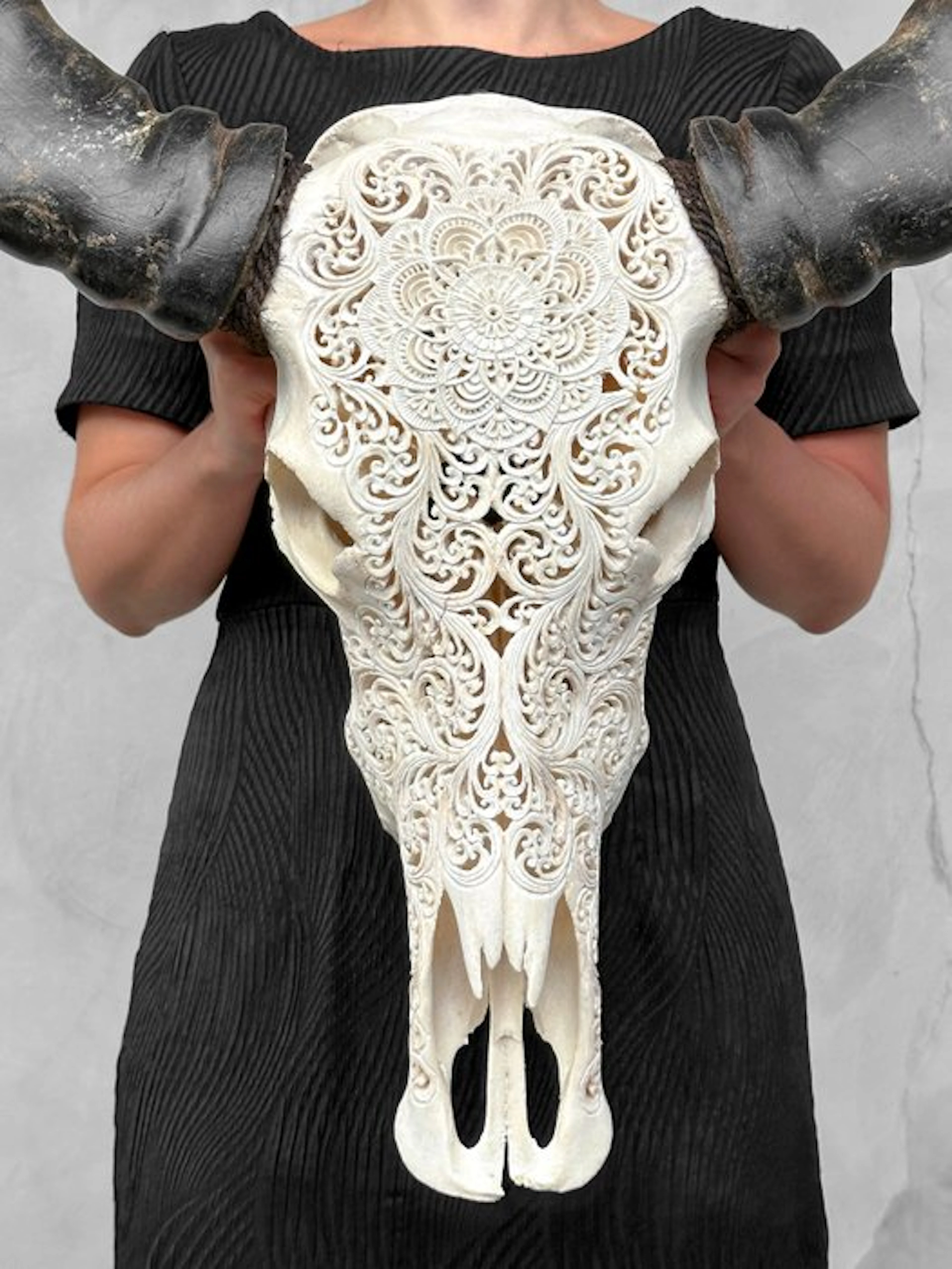 NO RESERVE PRICE -C-Large White Hand-Carved Water Buffalo...