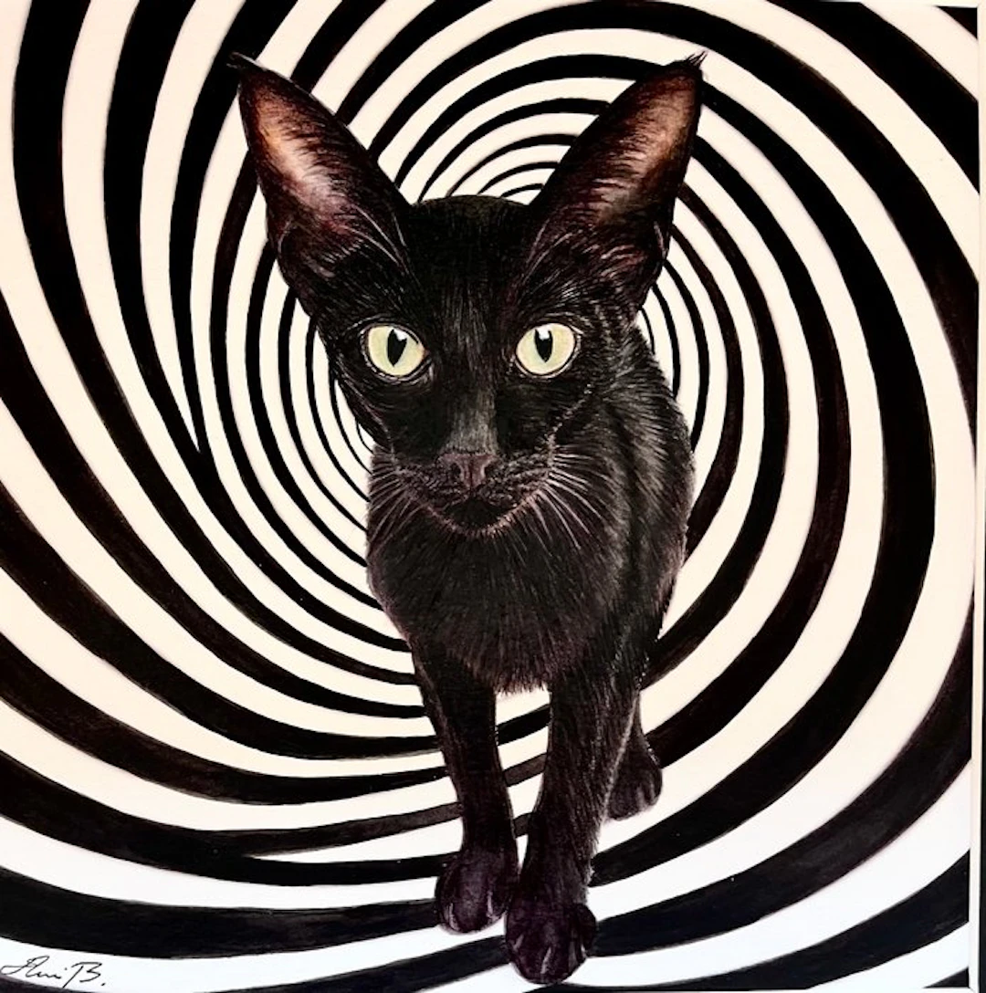 AniB. - The Hypnotic CAT