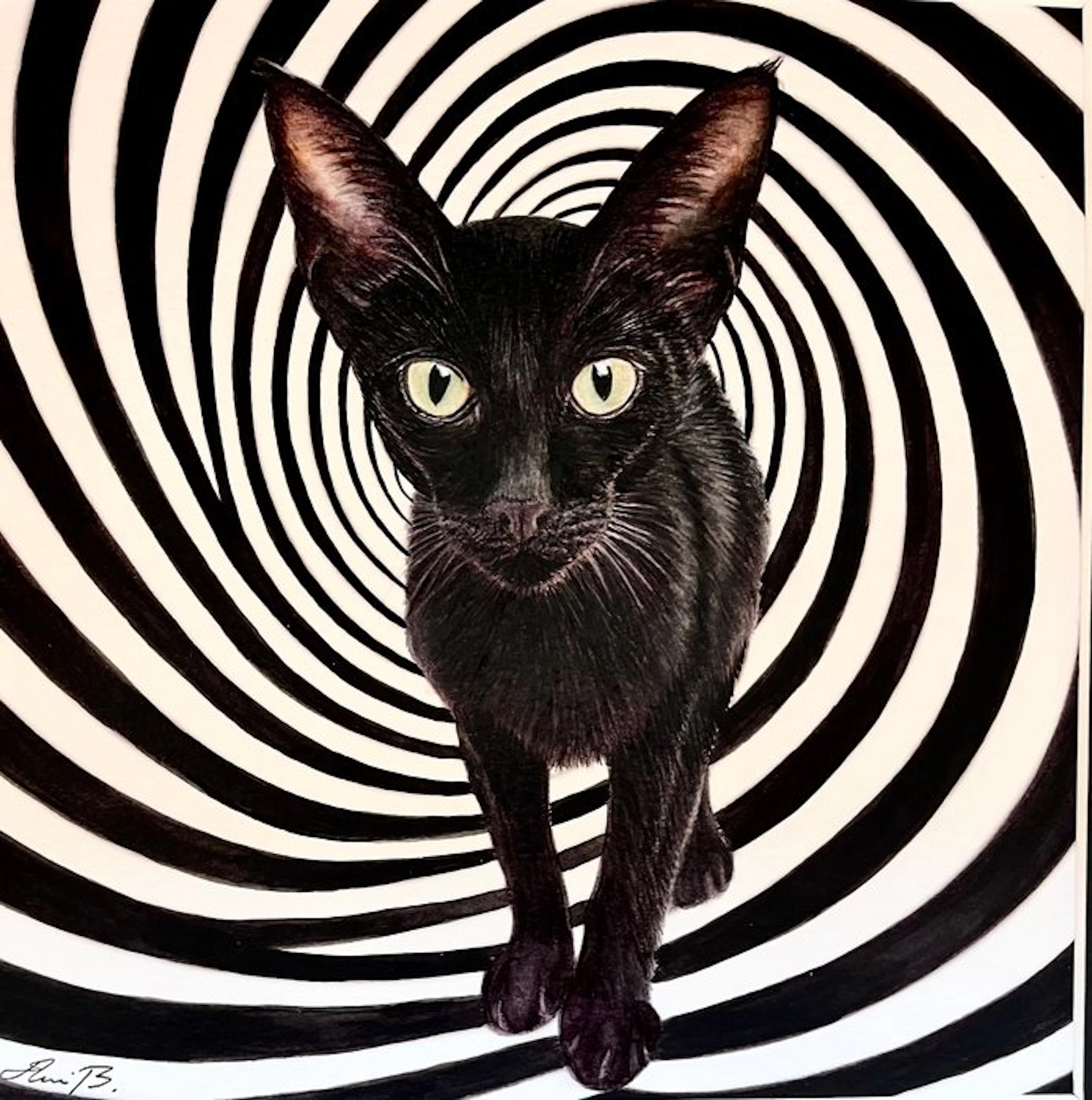 AniB. - The Hypnotic CAT