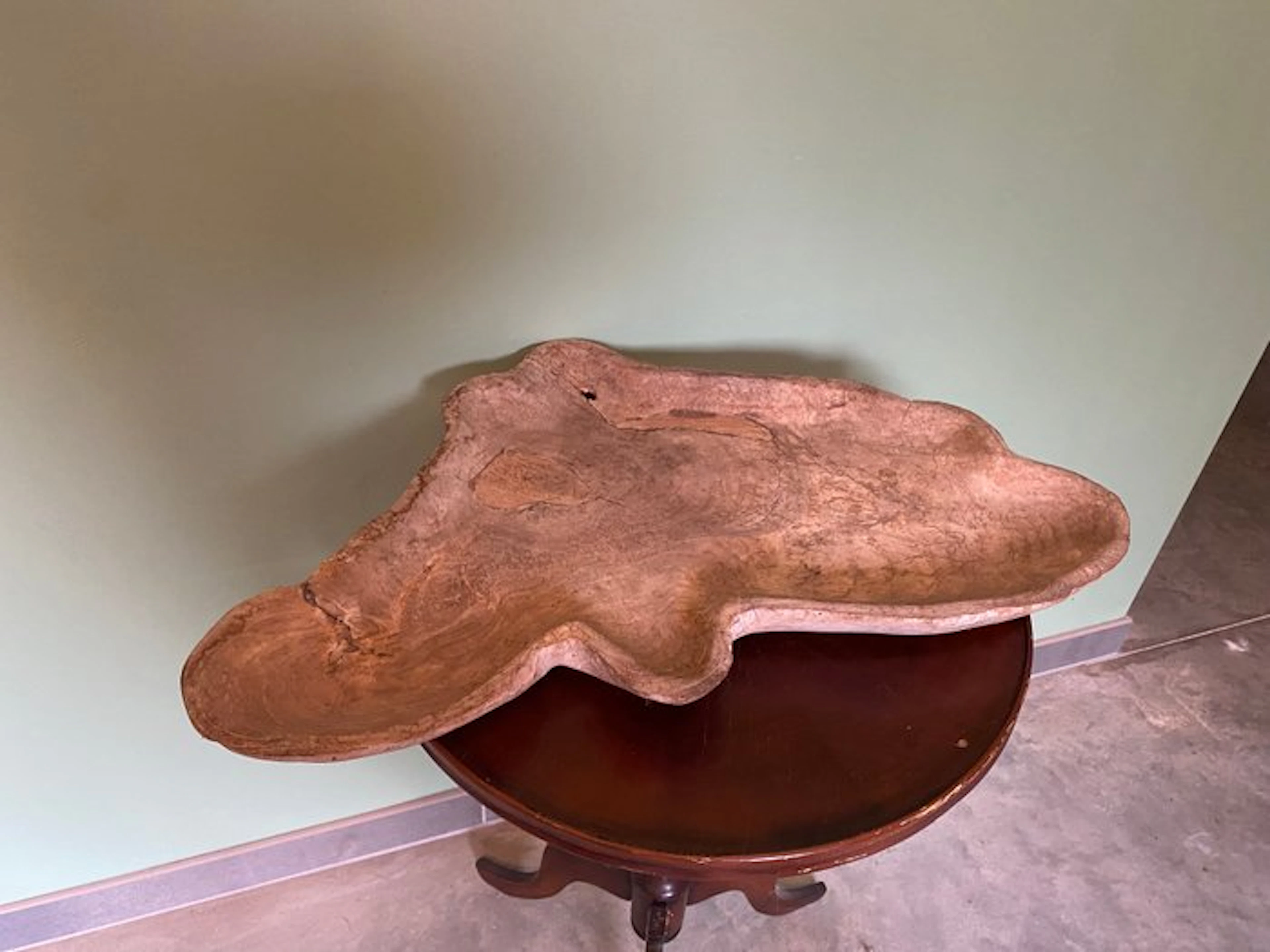 Platter - Wood - Teak root bowl